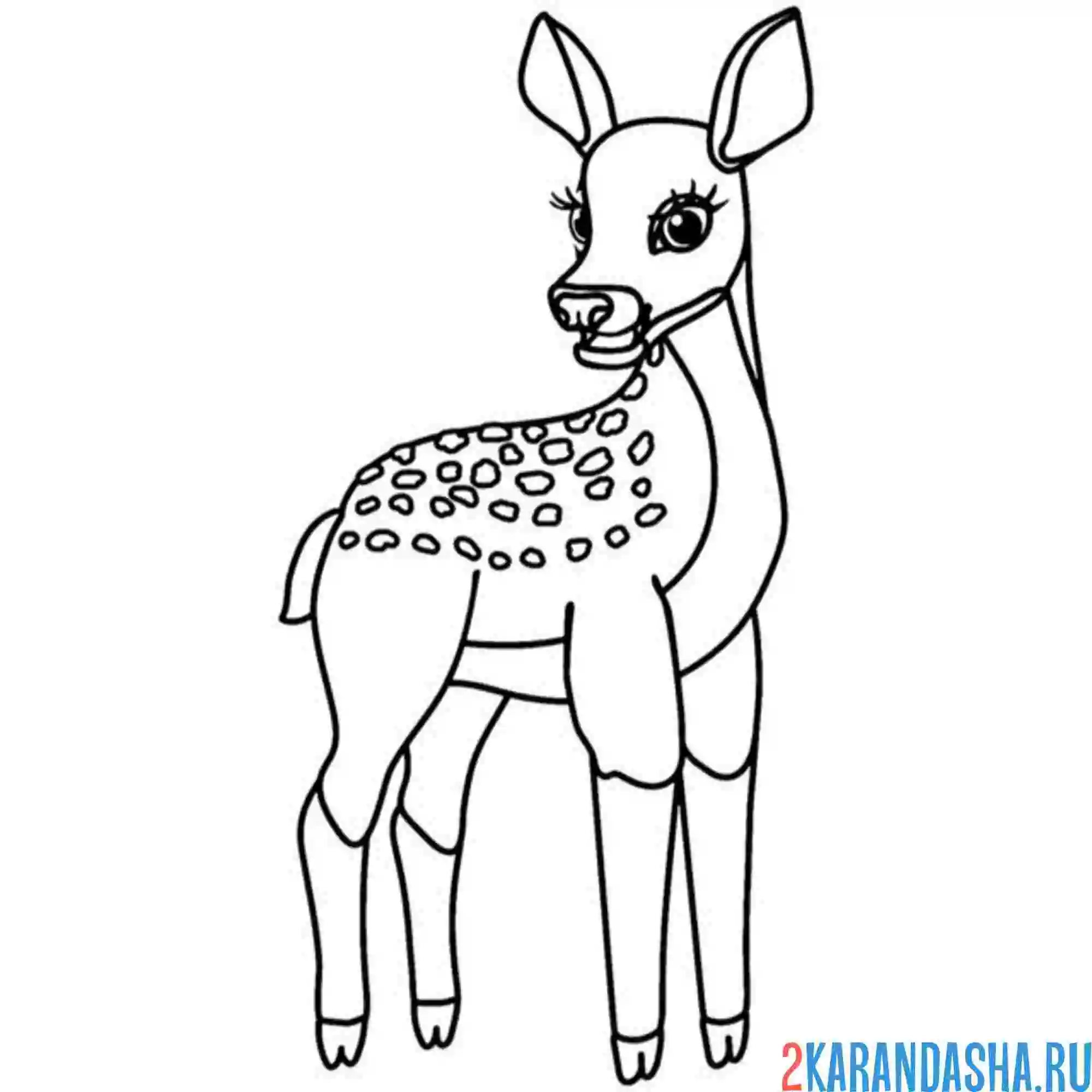 Раскраска олень что-то увидел