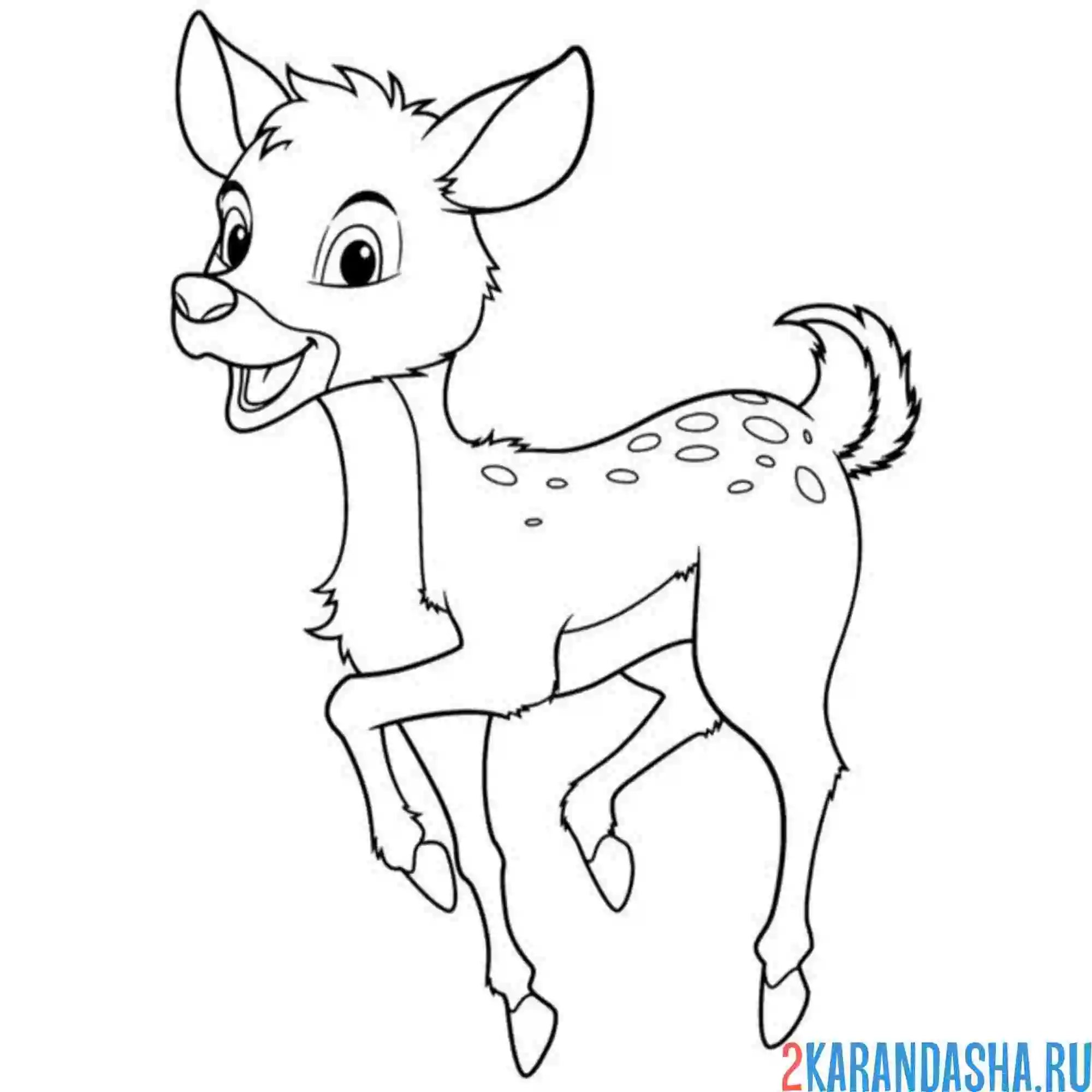 Раскраска олененок скачет