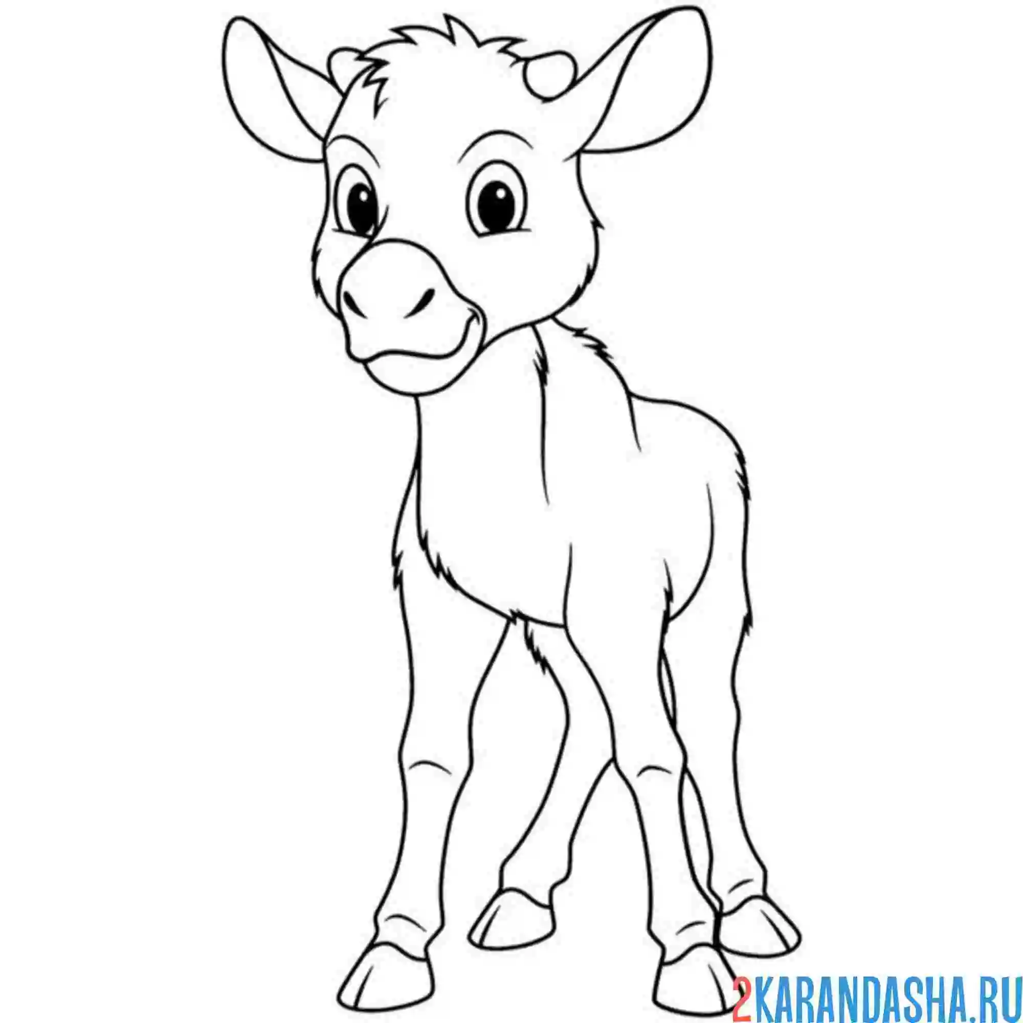 Раскраска маленький лосенок