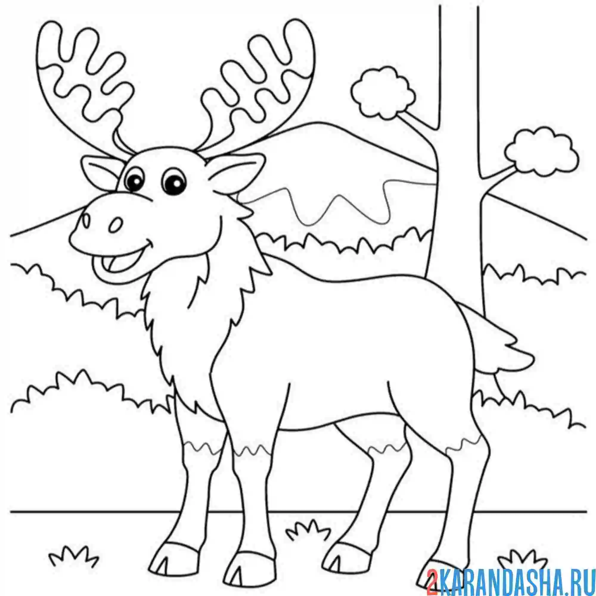 Раскраска лось в лесу