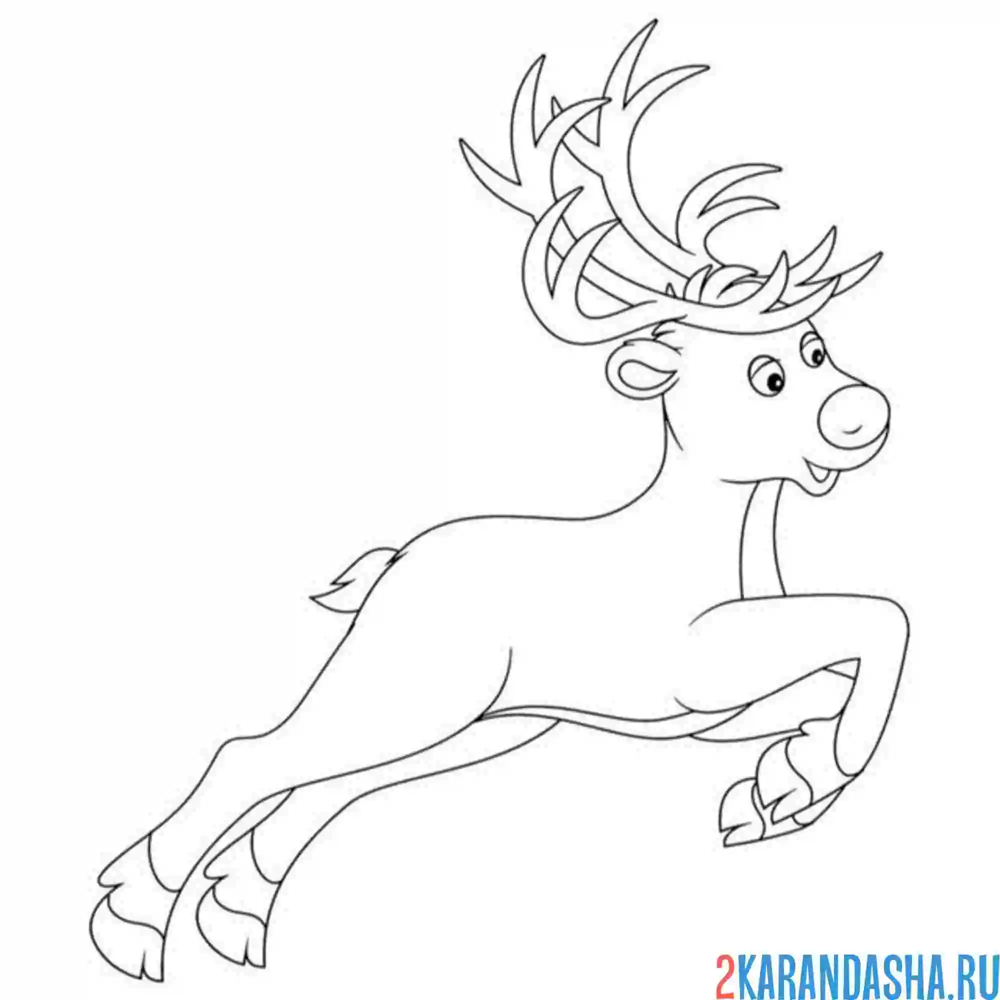 Раскраска северный олень