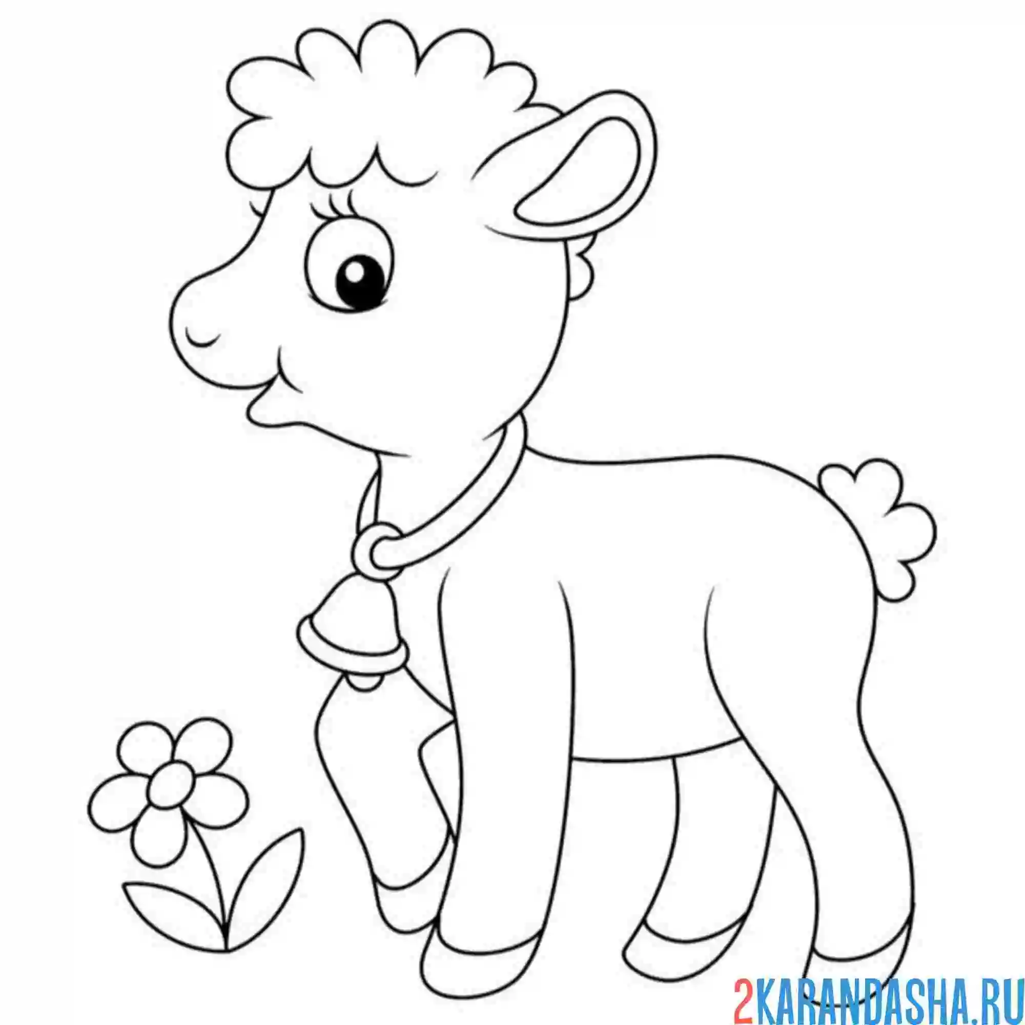 Раскраска козленок и цветочек