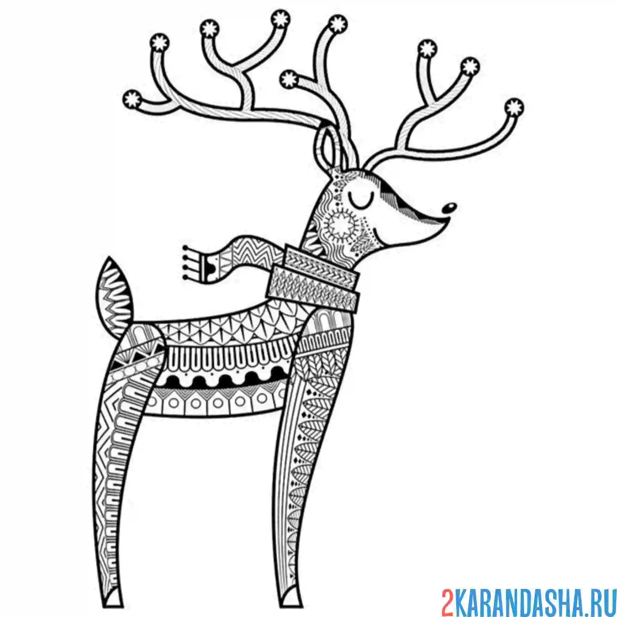 Раскраска смешной олень антистресс