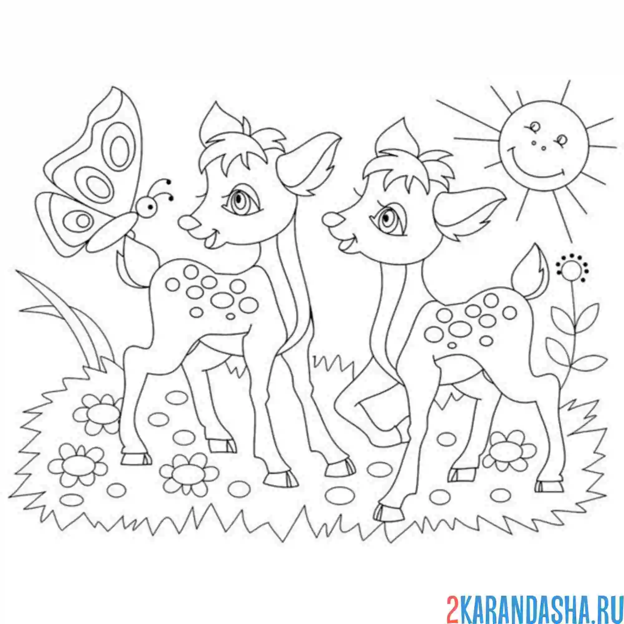 Раскраска два оленя на природе