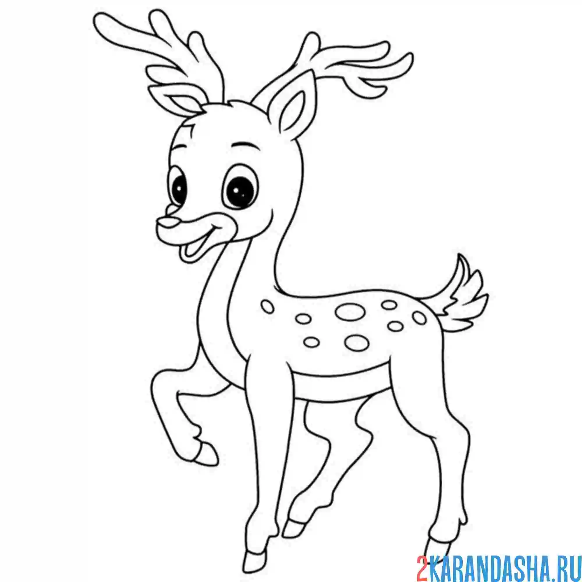 Раскраска олень копытке