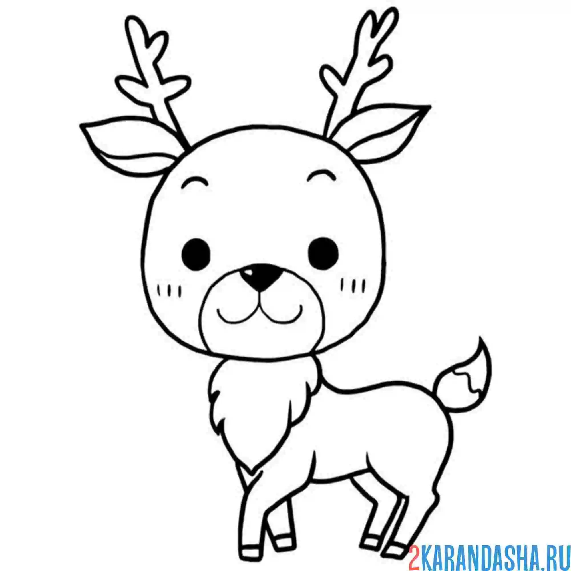 Раскраска олень шубка