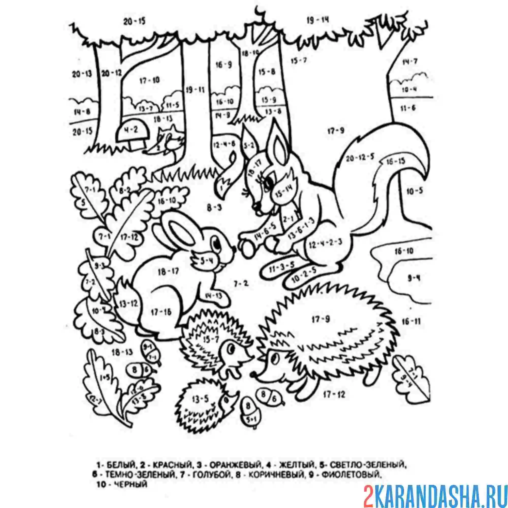 Раскраска математика задание