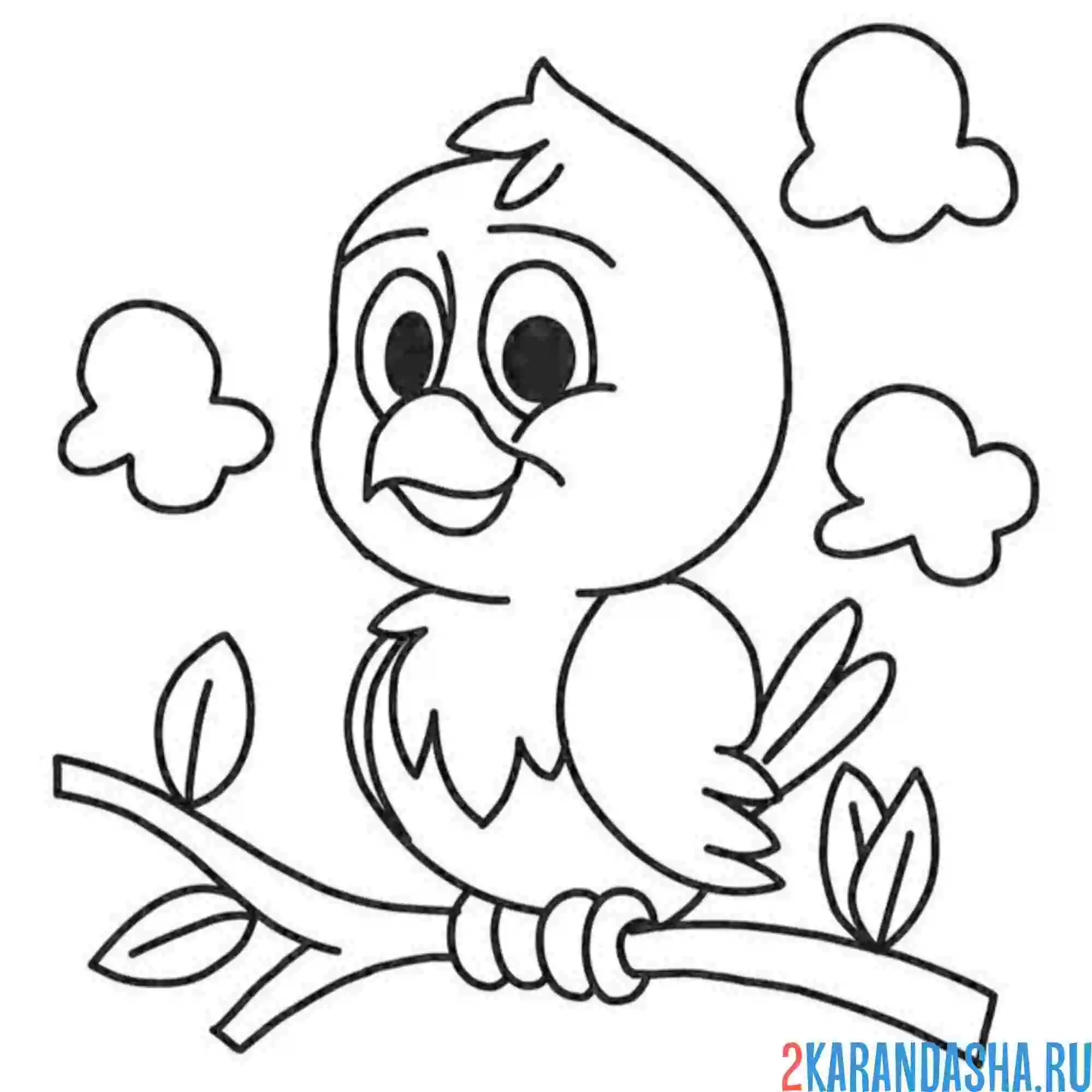 Раскраска птичка на ветке. простая раскраска