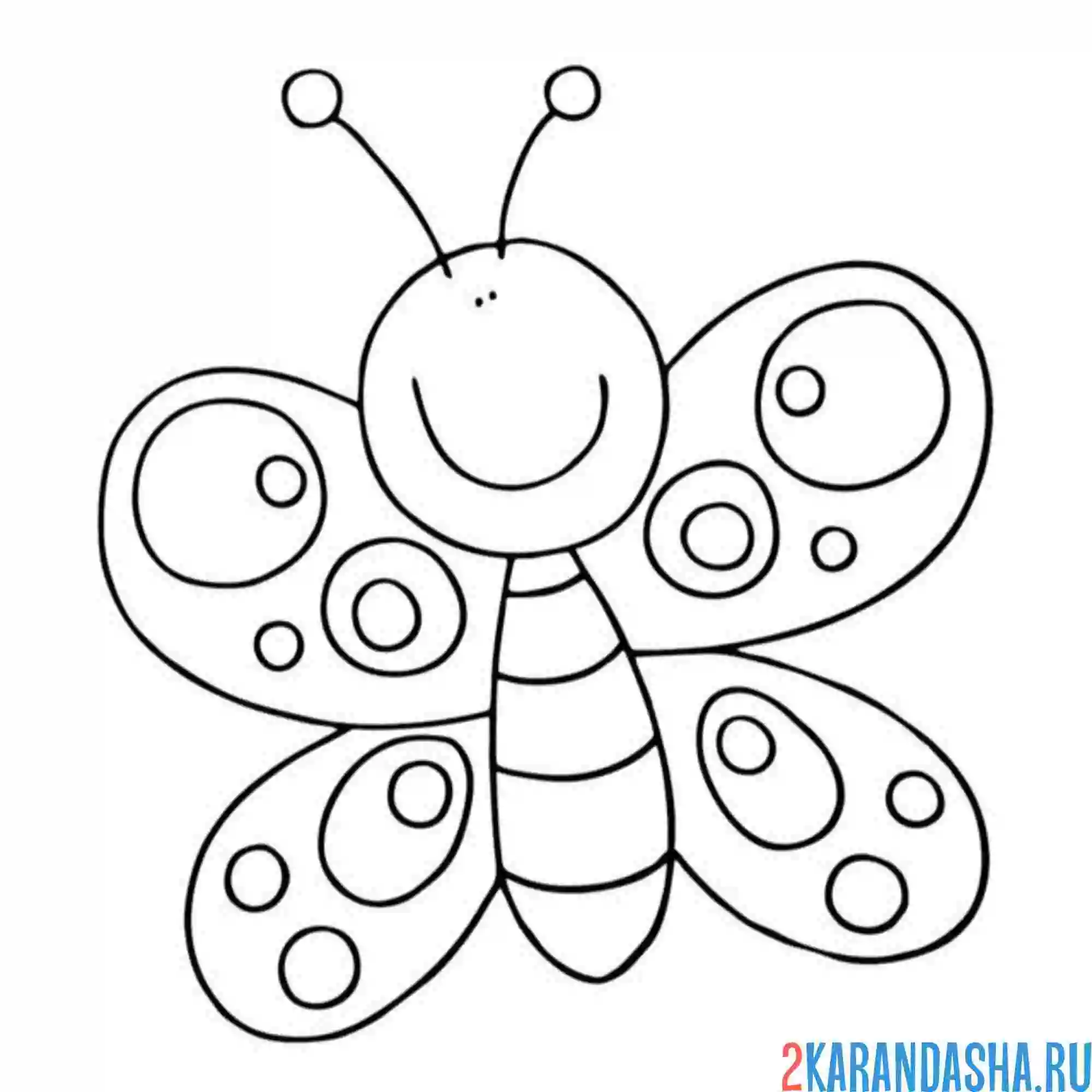 Раскраска простая раскраска бабочка
