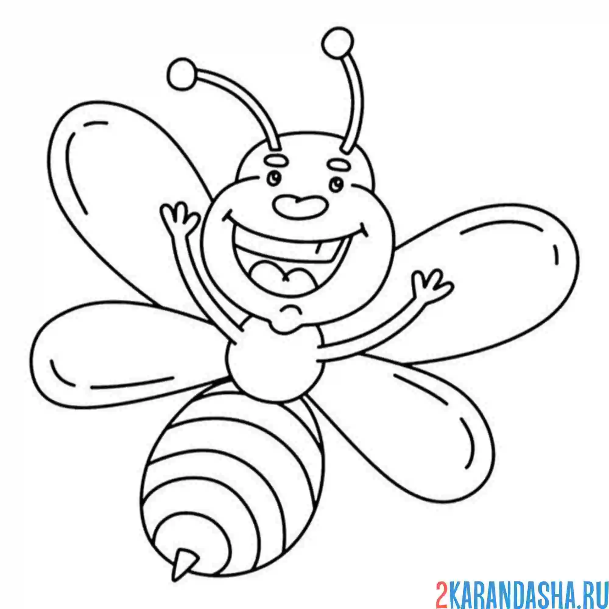Раскраска простая раскраска пчелка