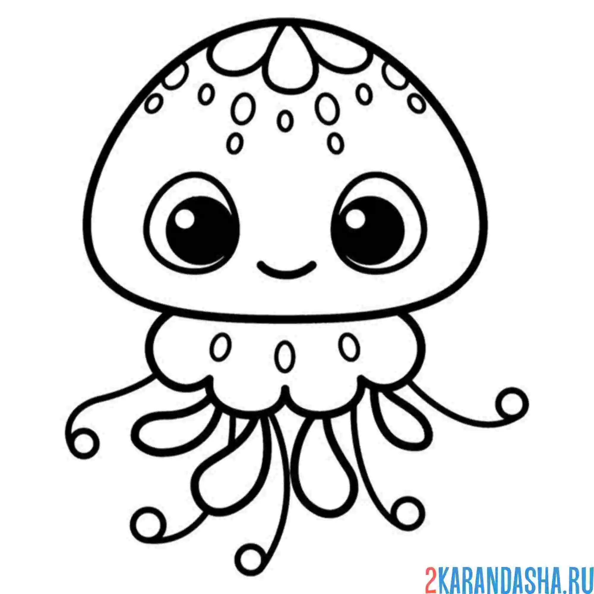 Раскраска простая раскраска осьминожка
