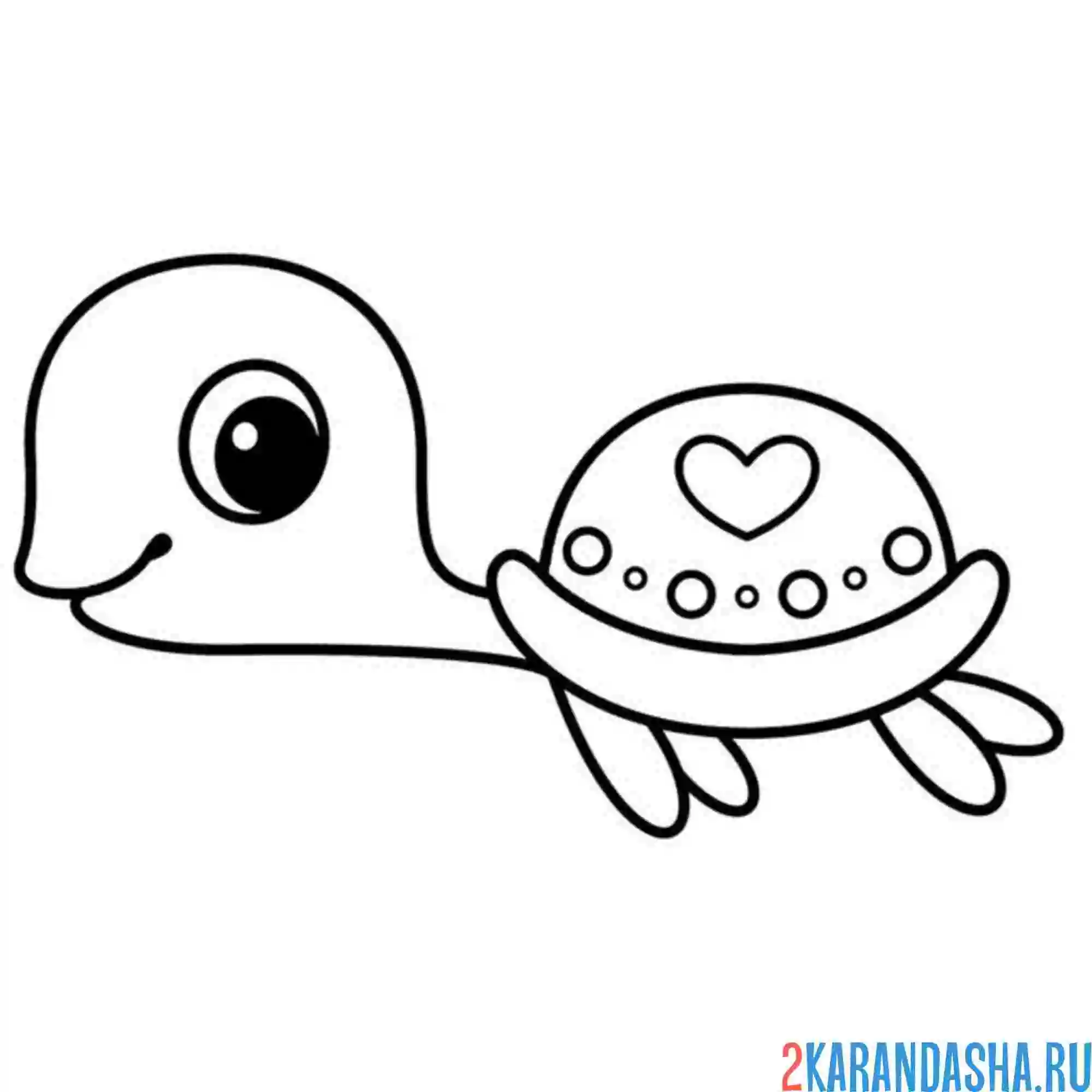 Раскраска легкая раскраска черепаха