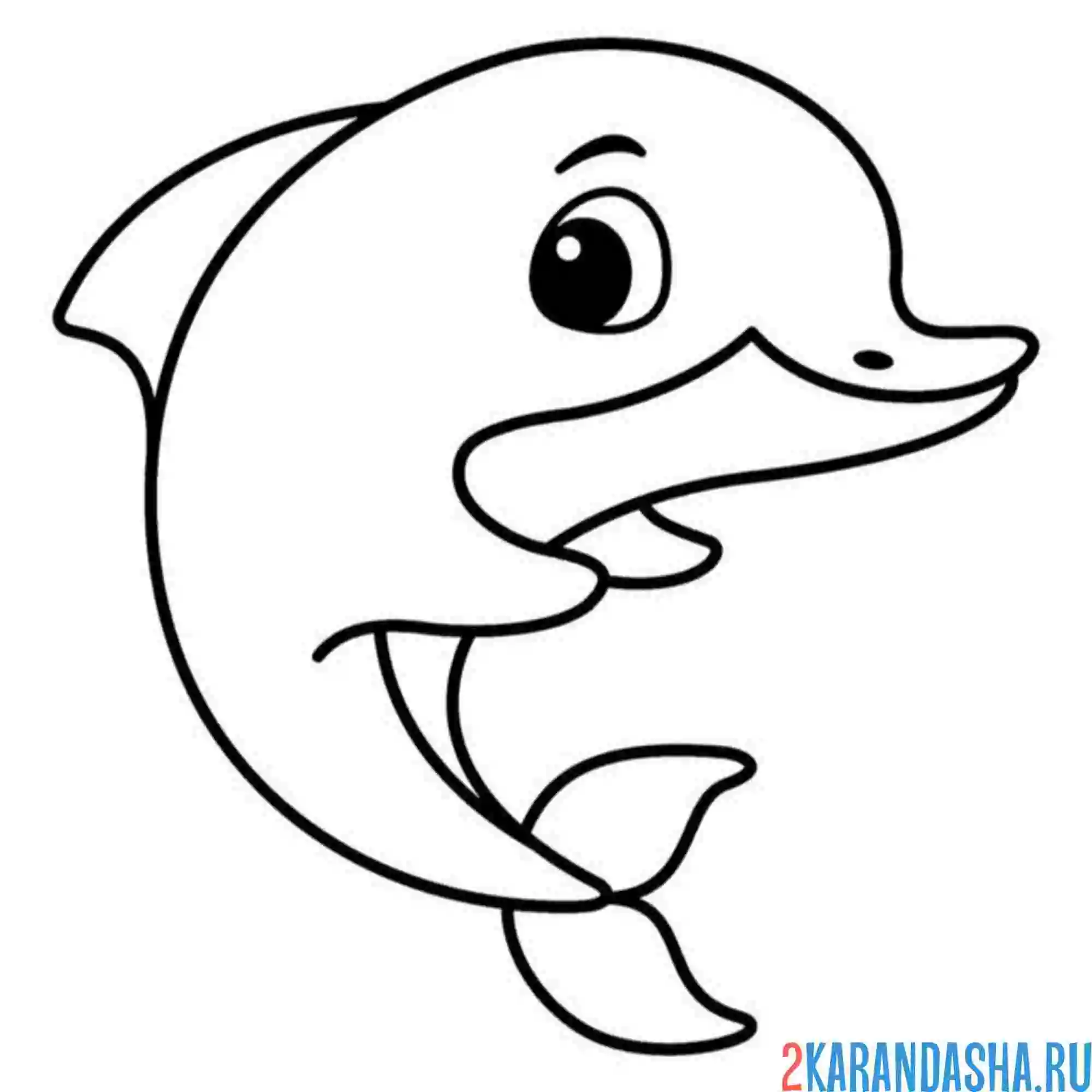 Раскраска простая раскраска дельфин