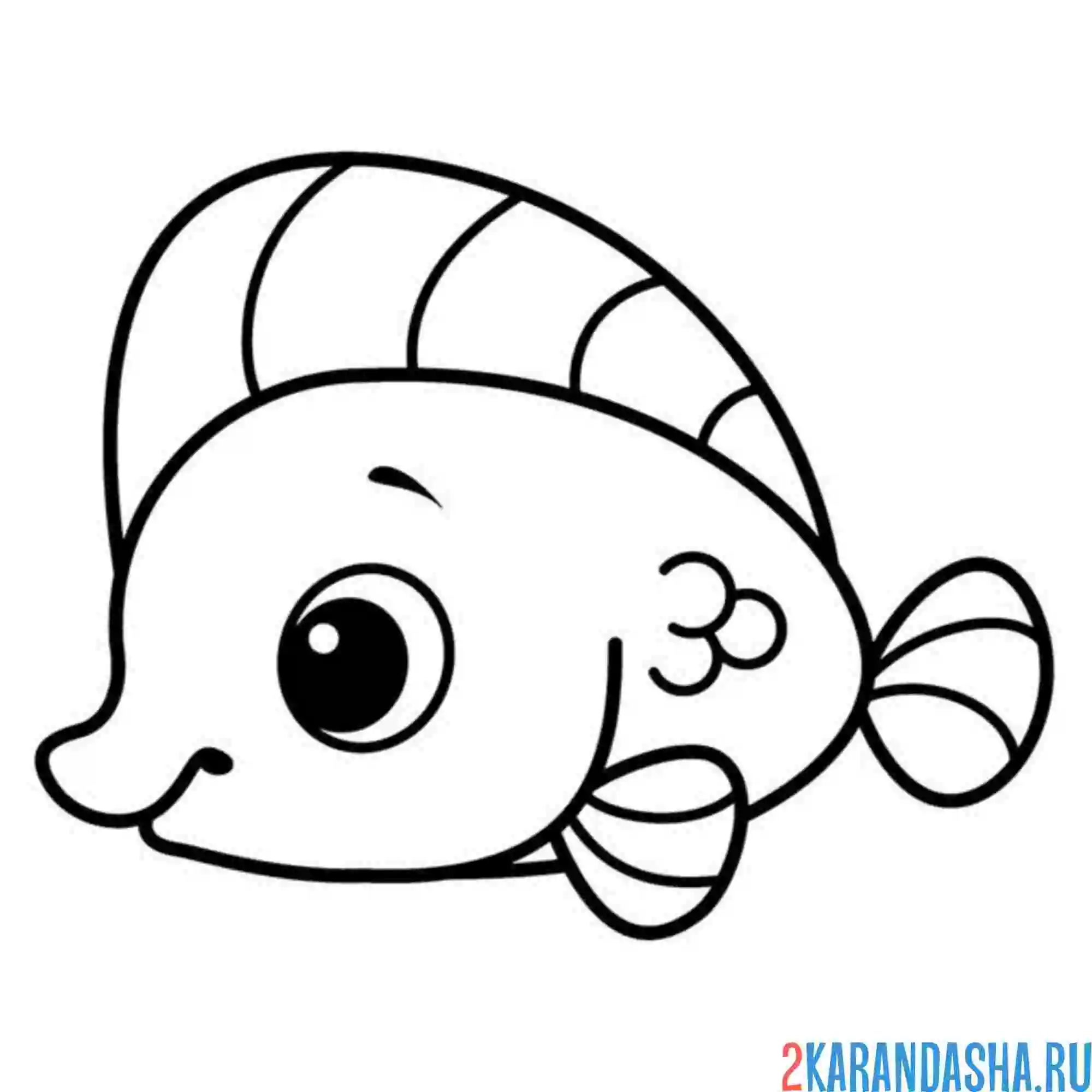 Раскраска простая раскраска рыбки