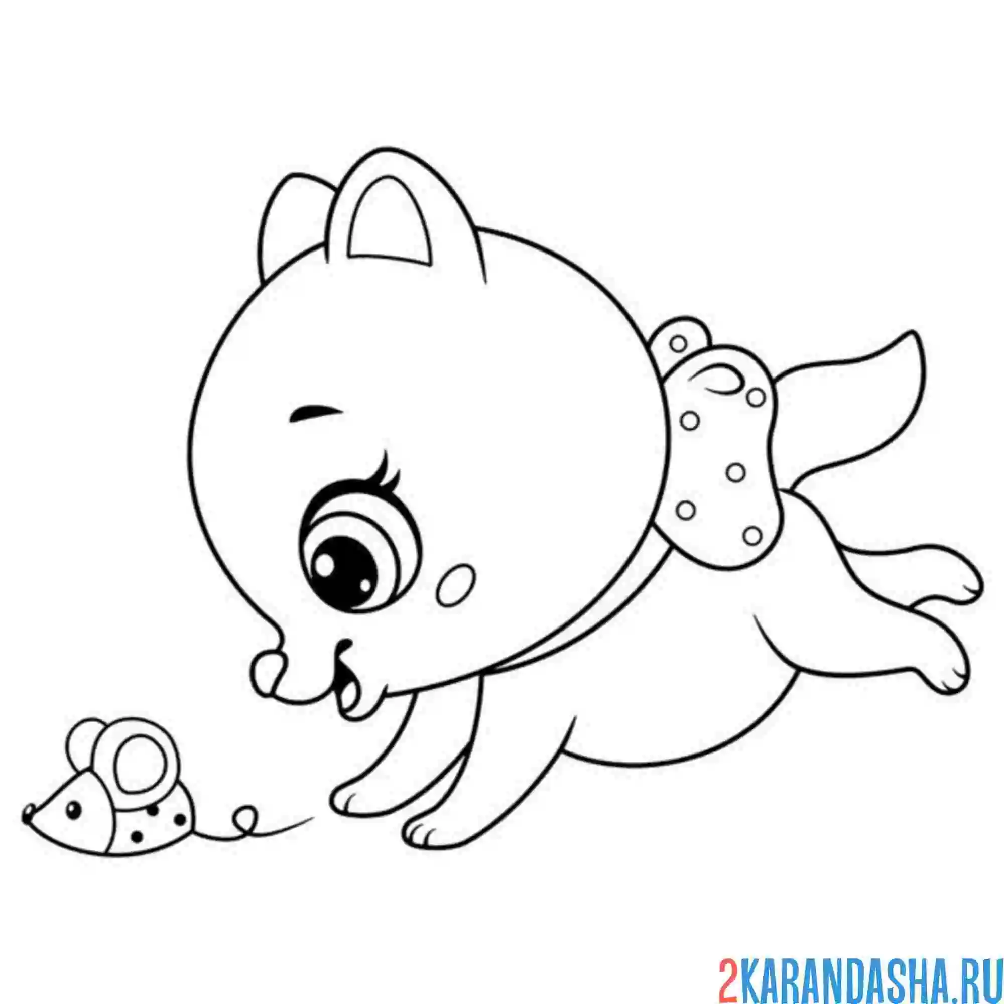 Раскраска легкая раскраска котенок