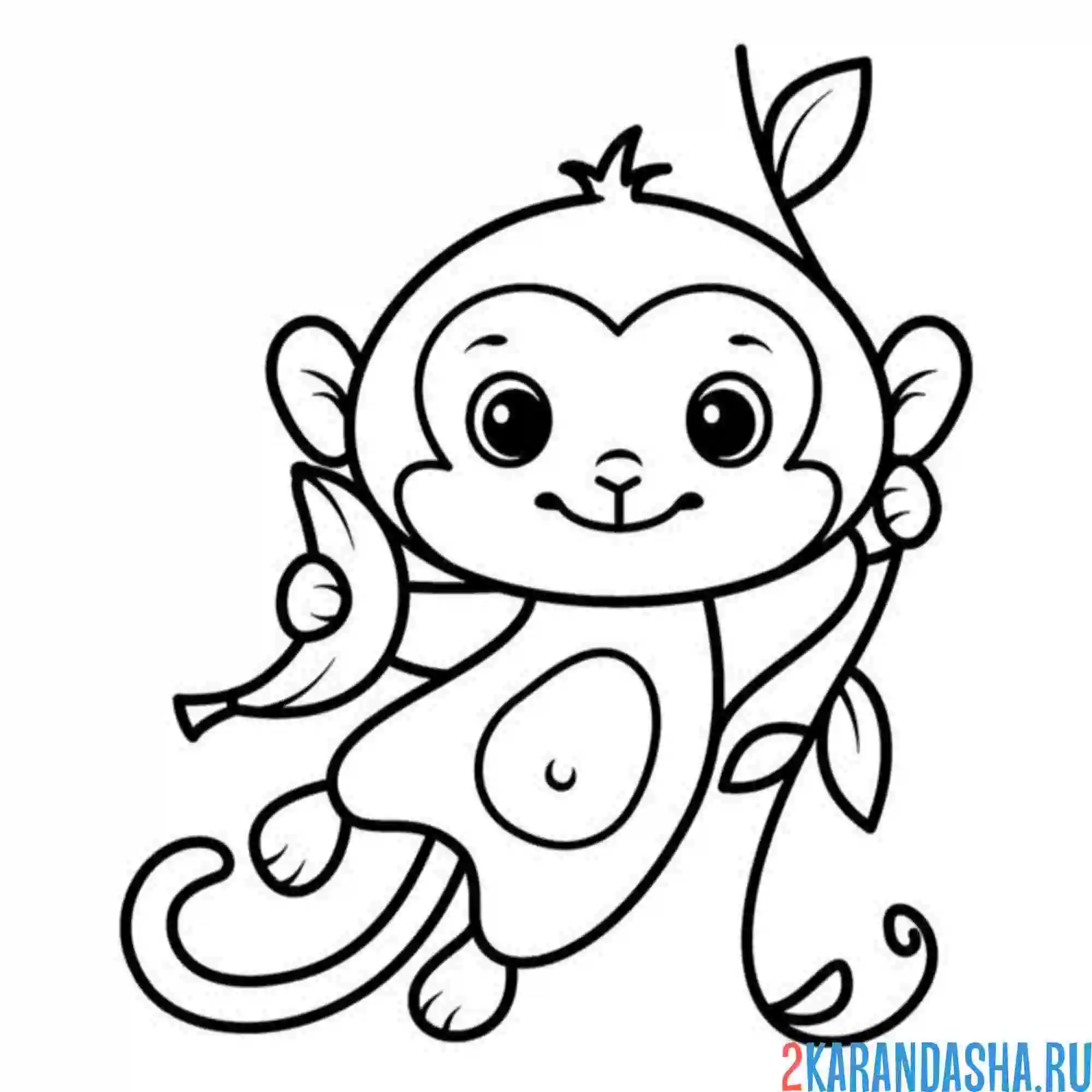 Раскраска простая раскраска обезьянка
