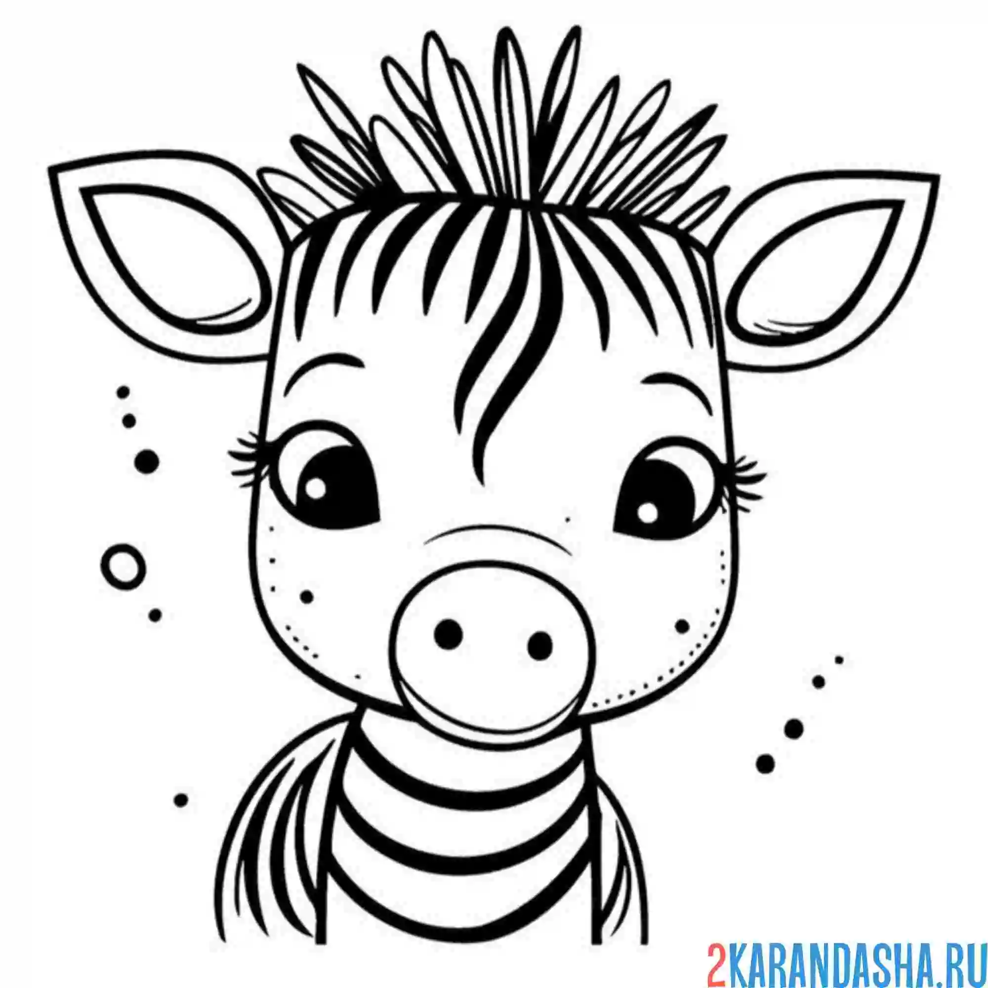 Раскраска голова зебры