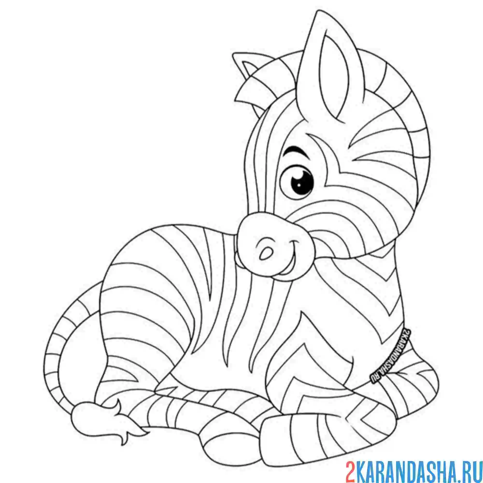 Раскраска зебра лежит