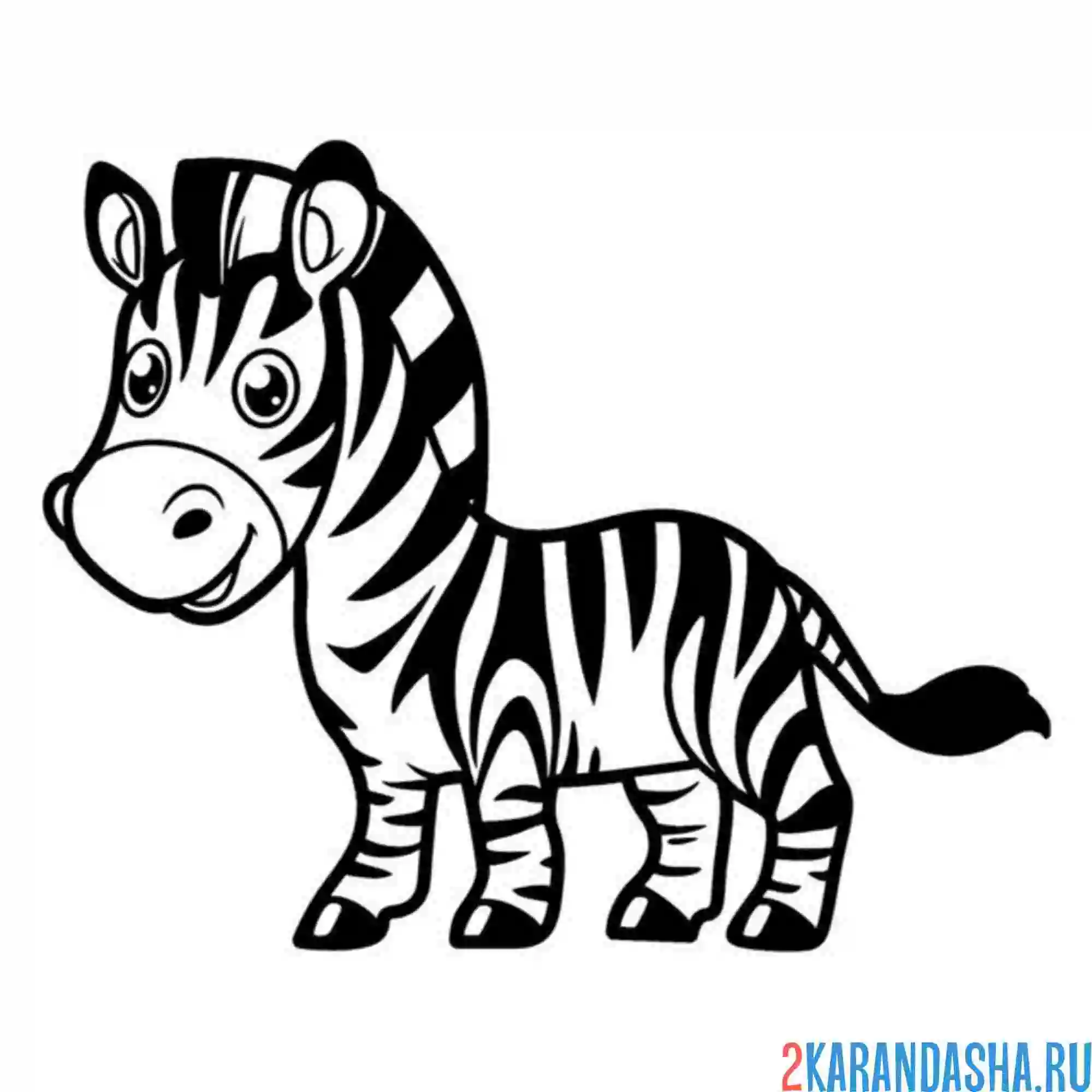 Раскраска зебра в черную полоску