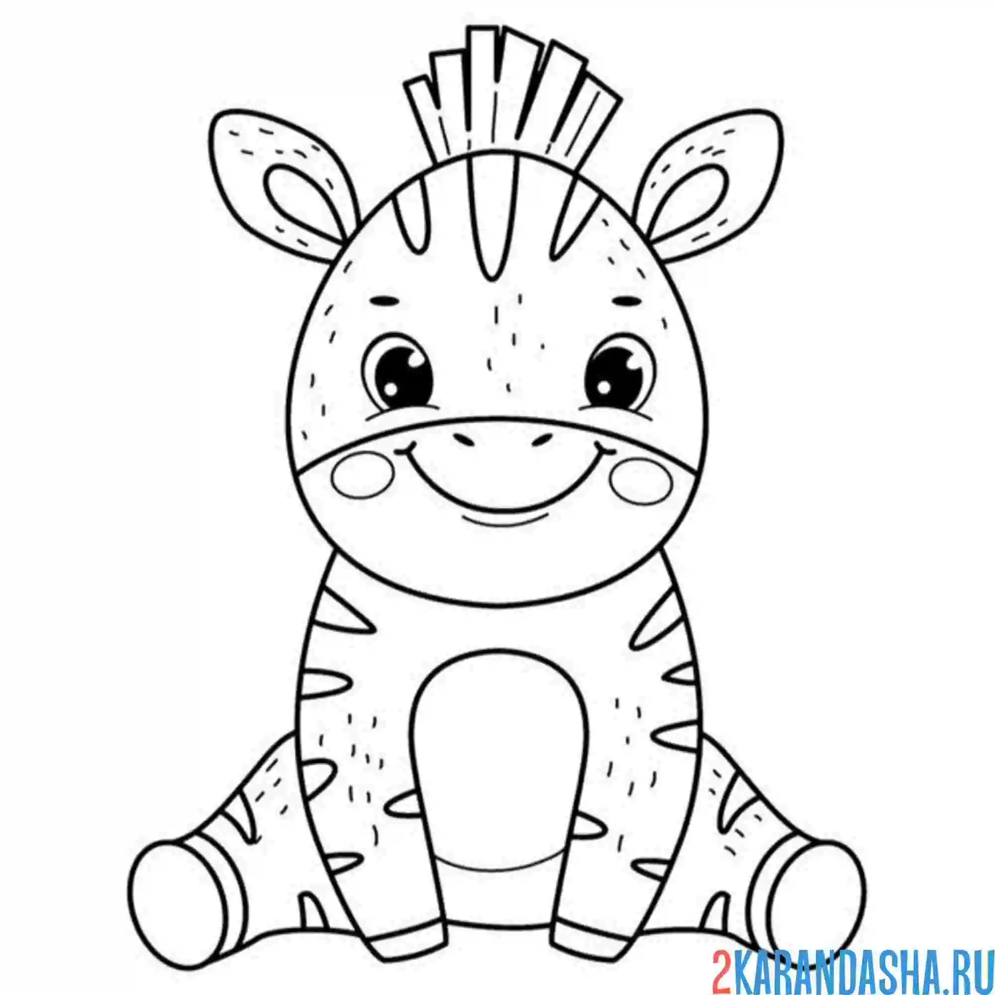 Раскраска малыш зебра сидит