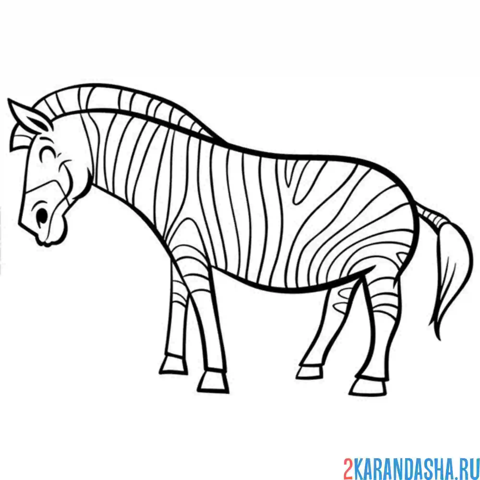 Раскраска зебра взрослая
