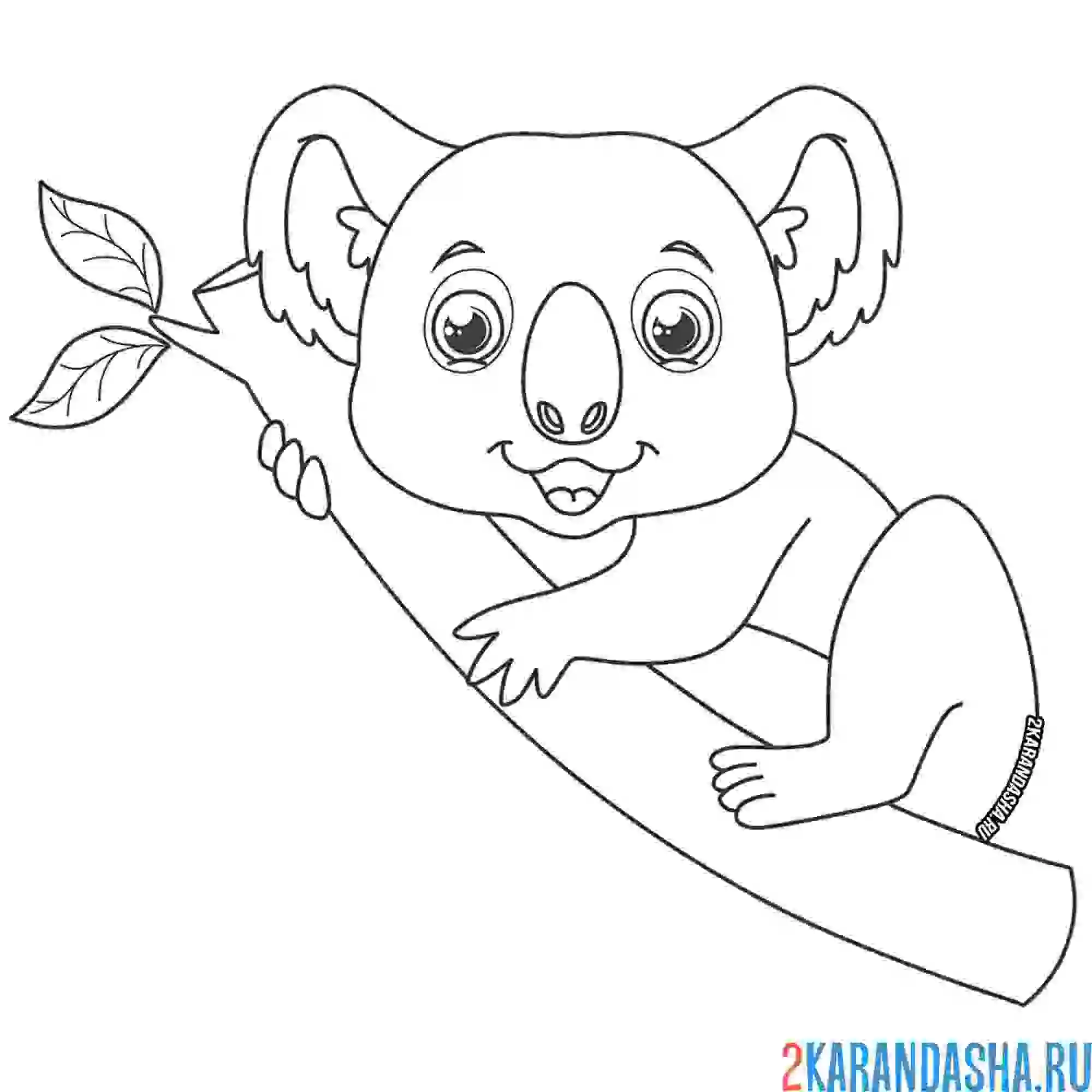 Раскраска коала на ветке дерева