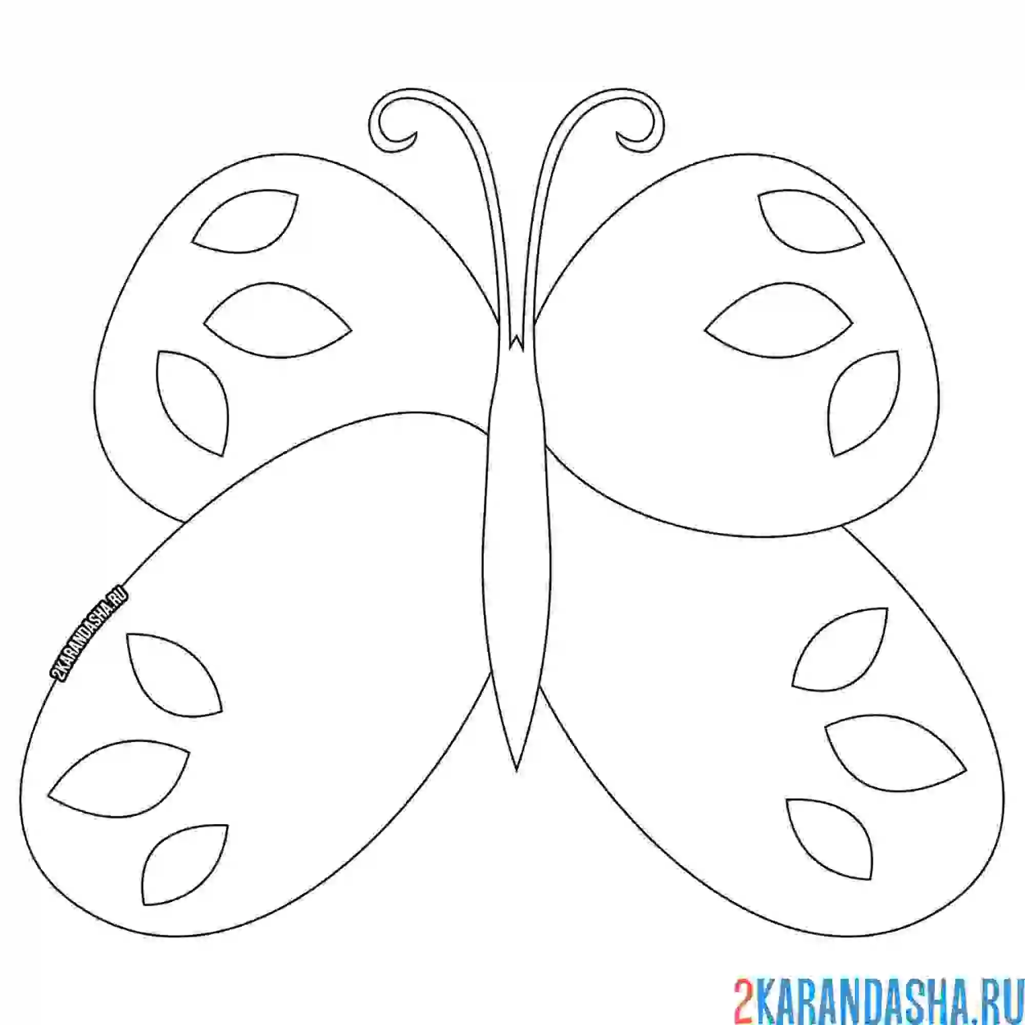 Раскраска легкая для раскрашивания бабочка