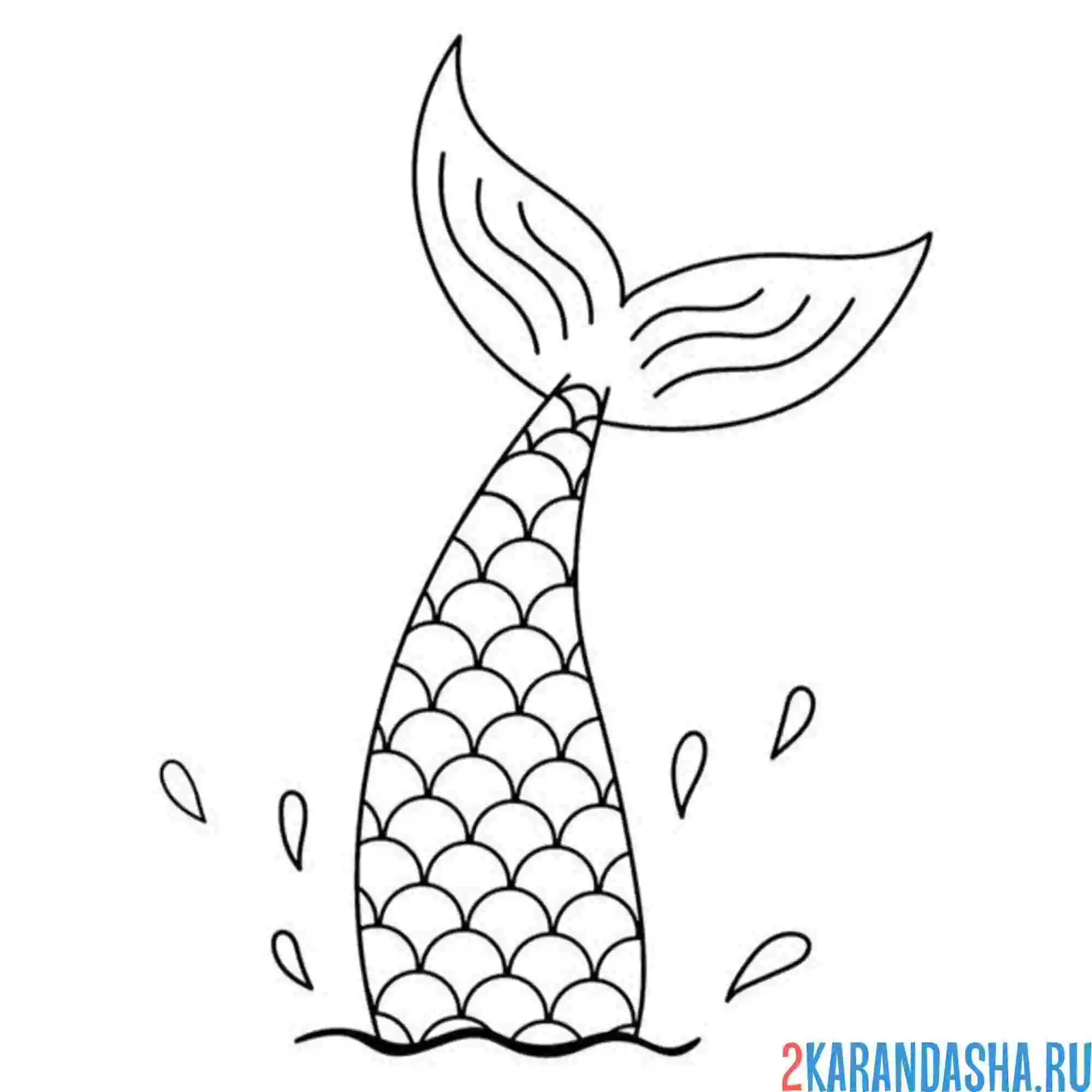 Раскраска хвост русалки