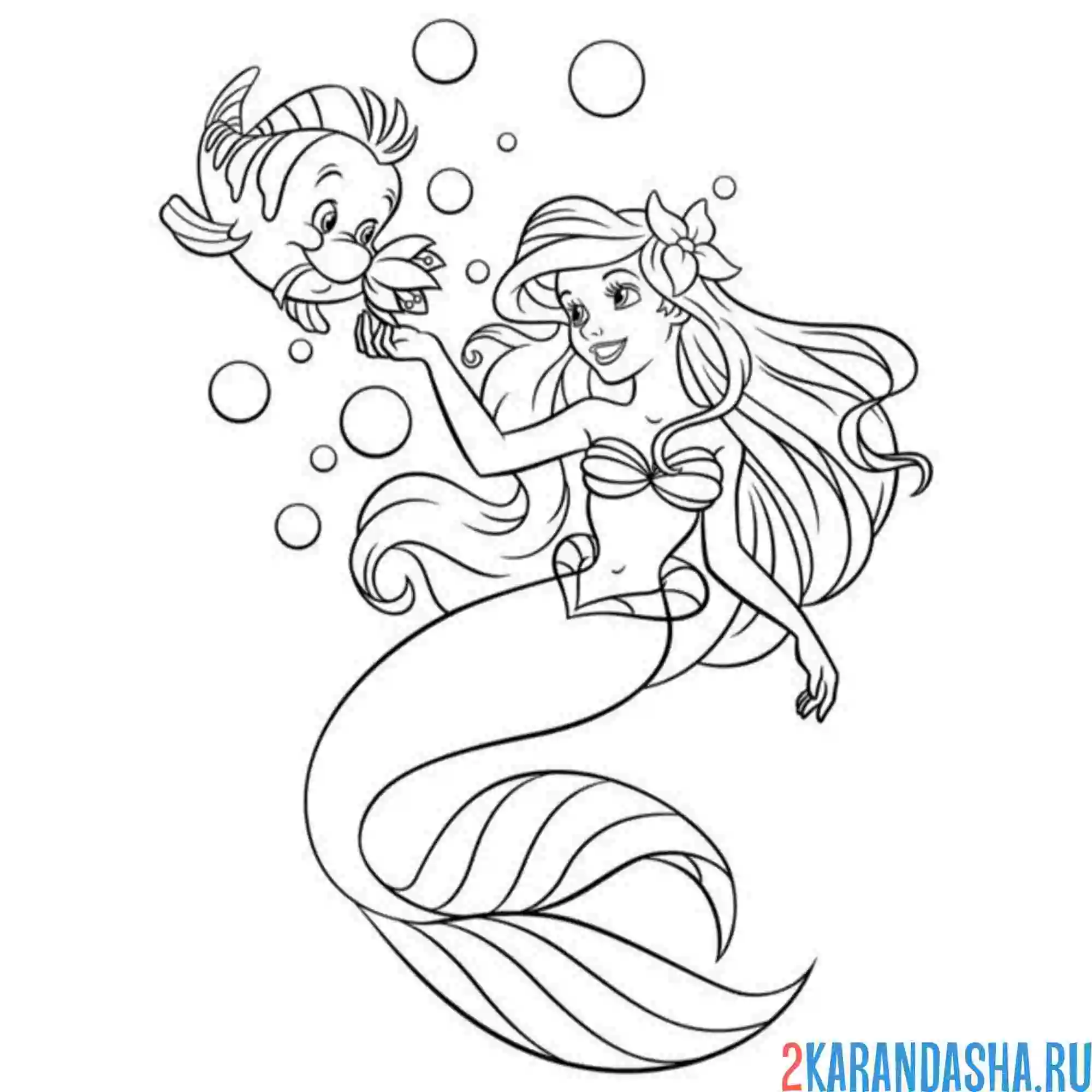 Раскраска флаундер подарил ариэль цветочек