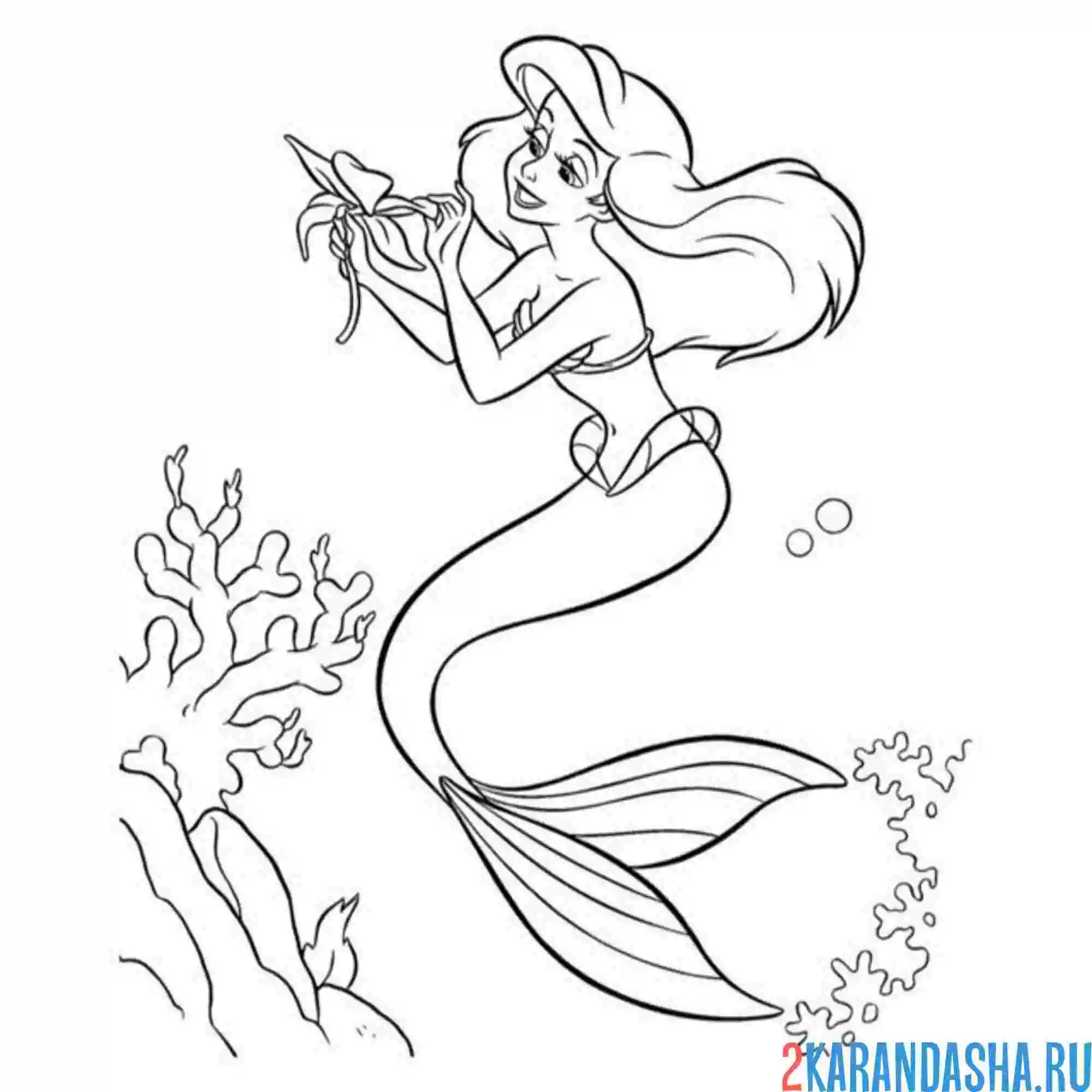 Раскраска ариэль гадает на цветке