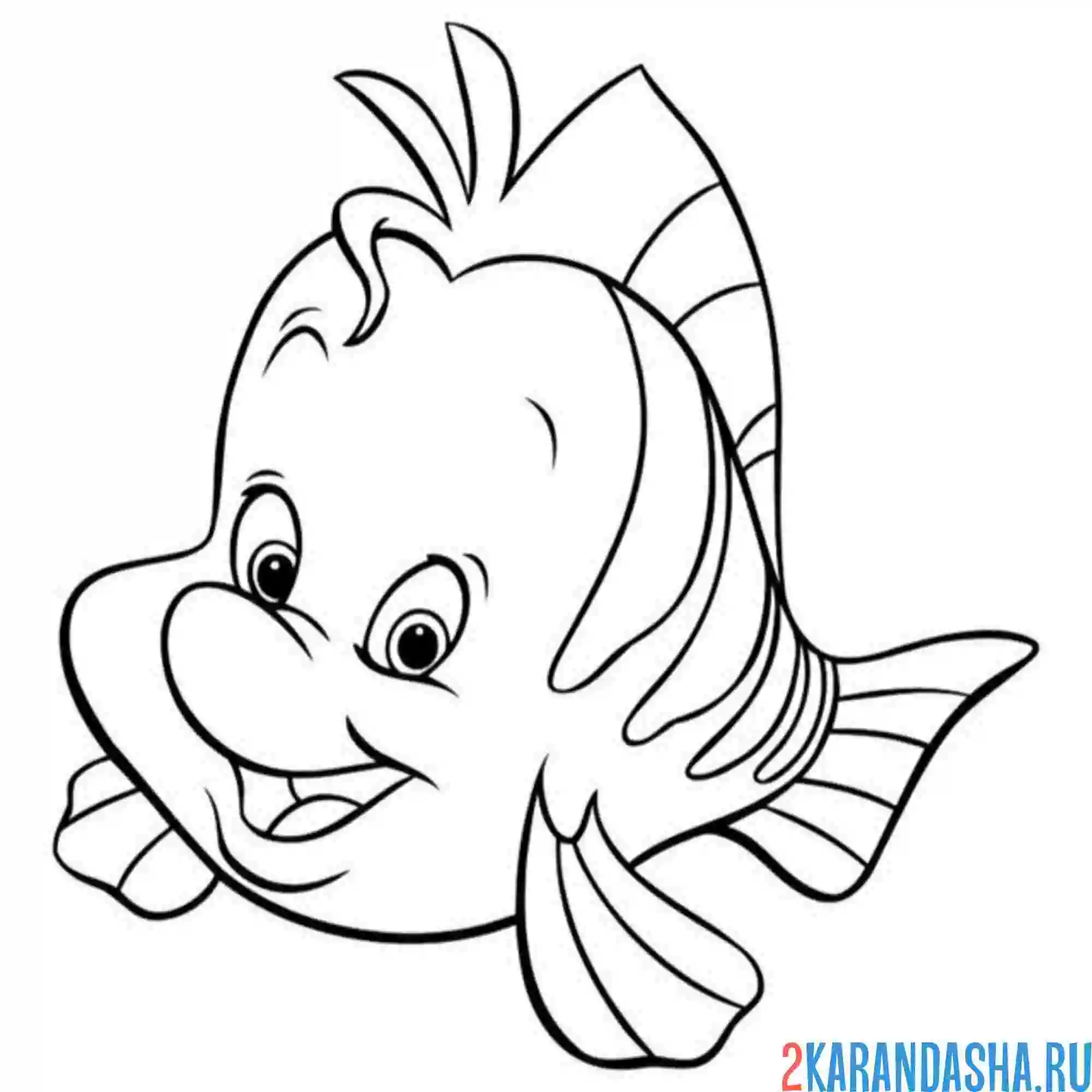 Раскраска красивый флаундер