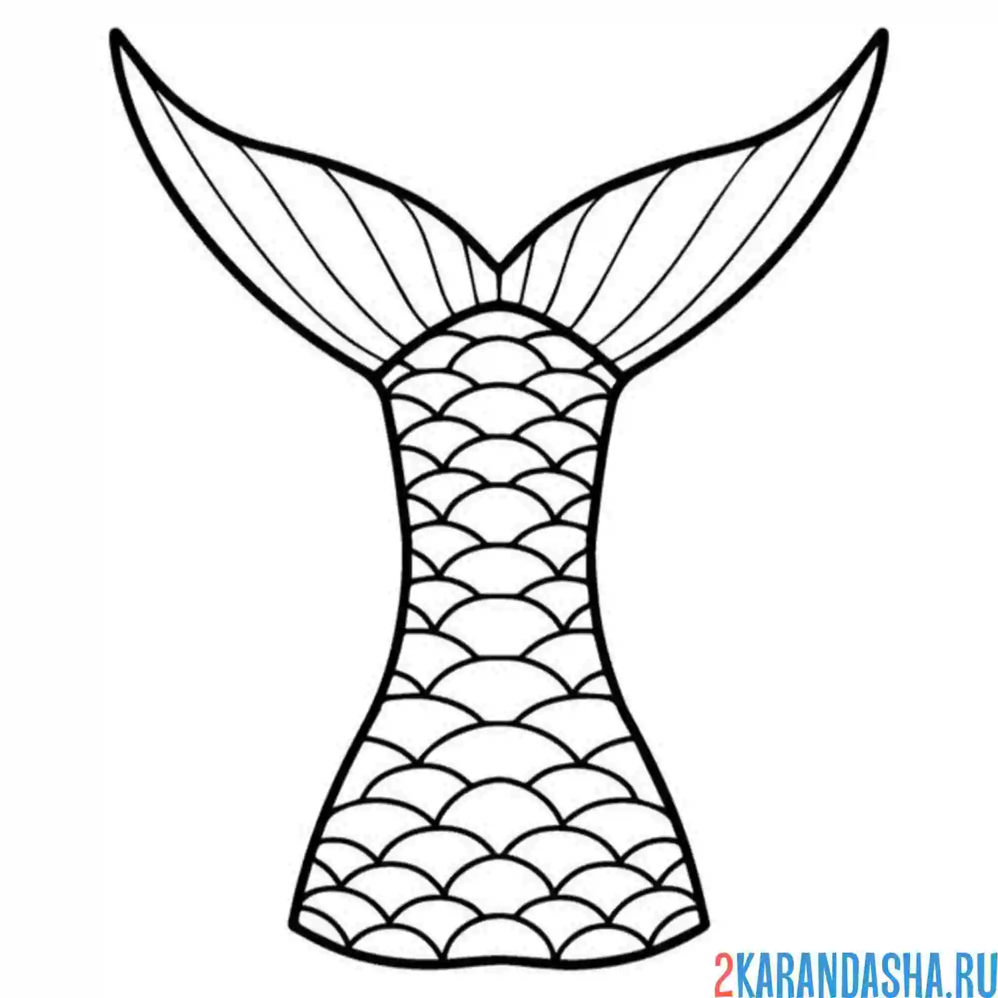Раскраска хвост русалочки