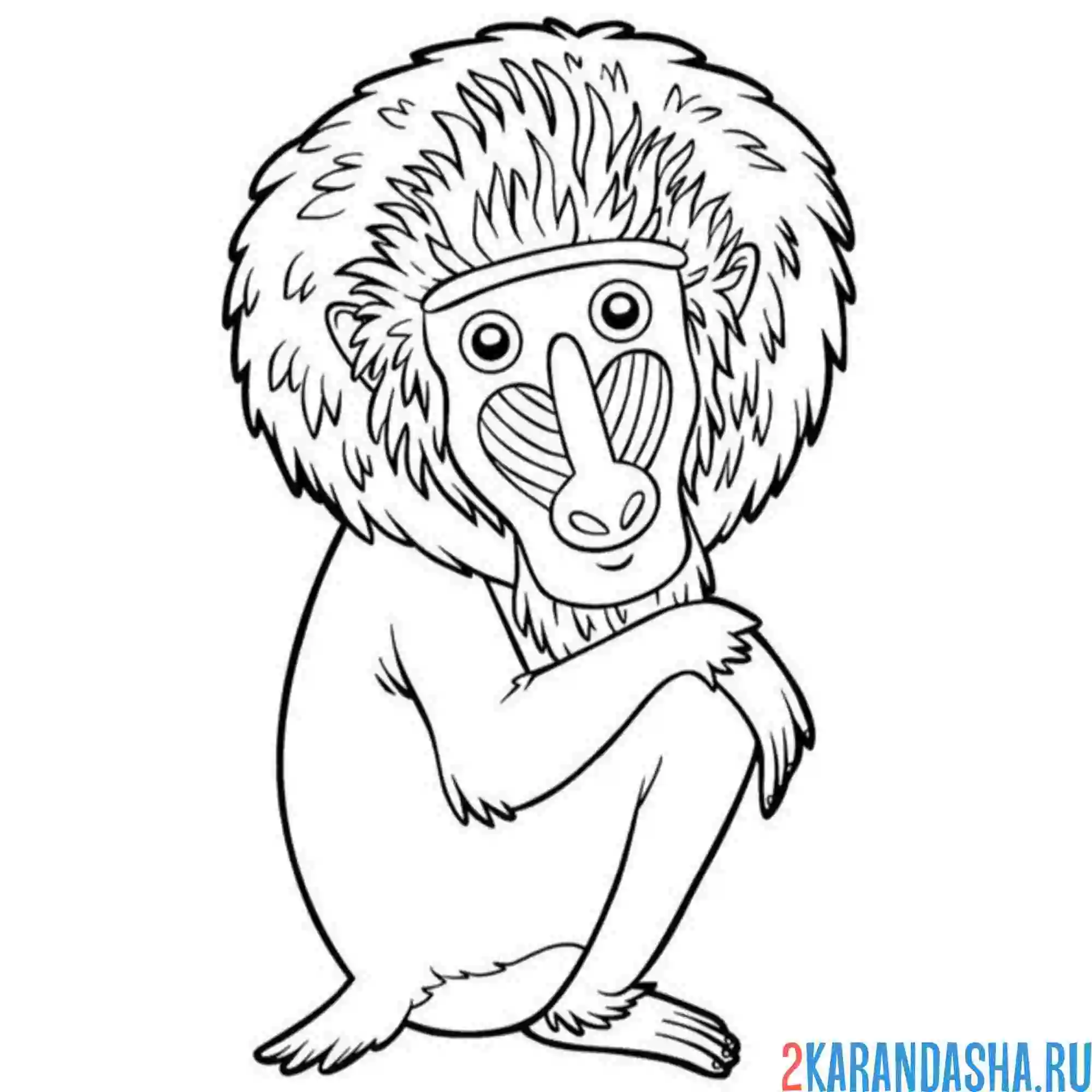 Раскраска обезьяна мандрил