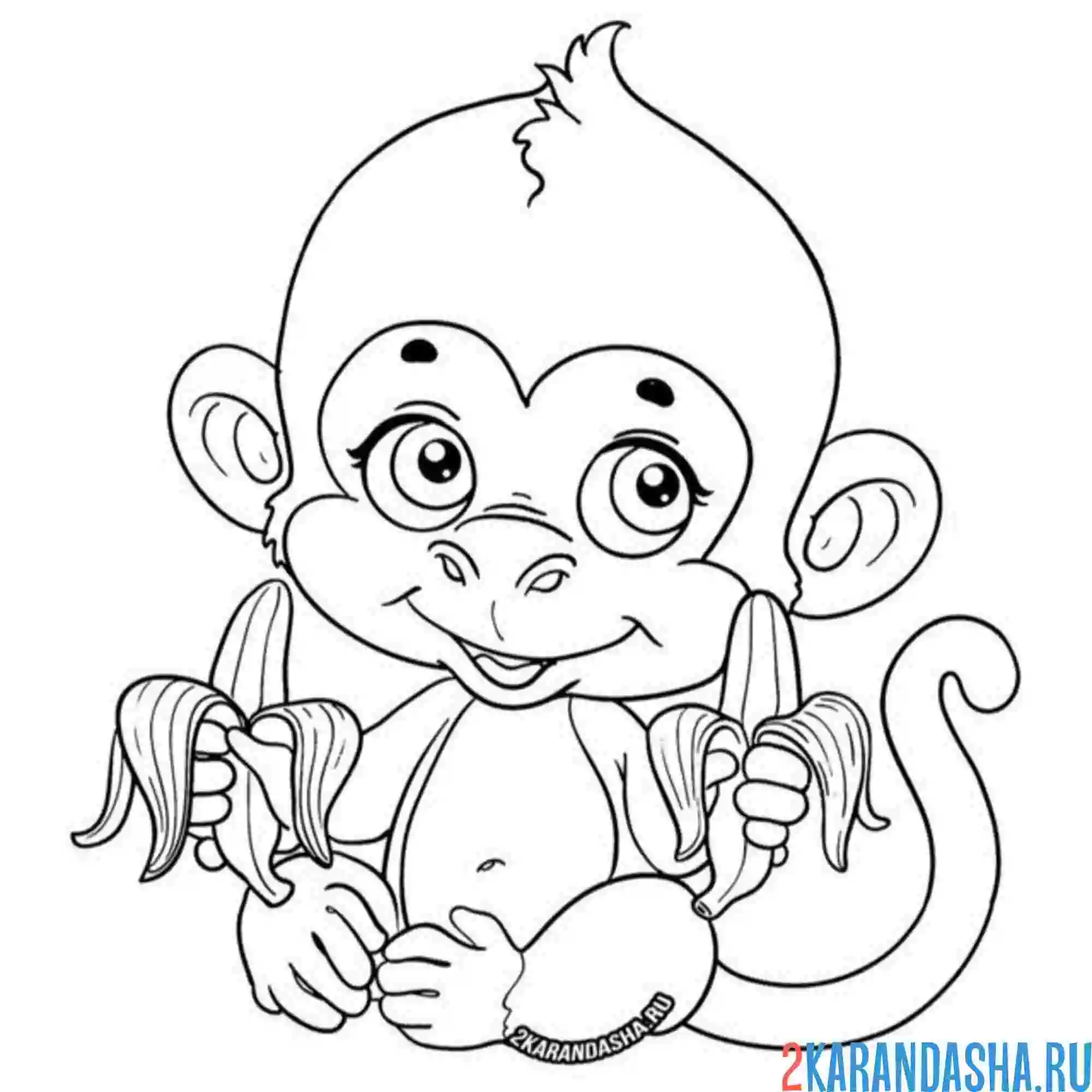 Раскраска обезьянка любит банан