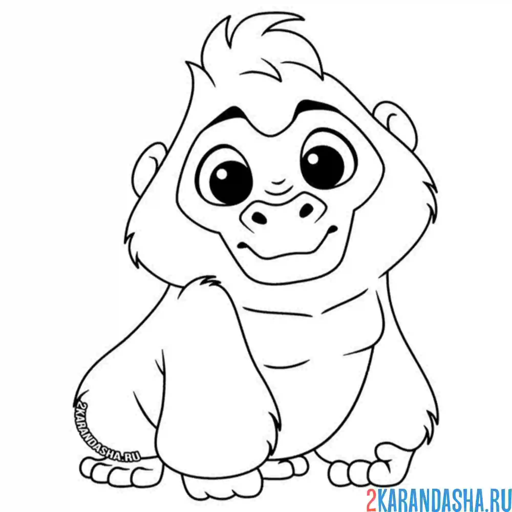 Раскраска малыш горилла обезьянка