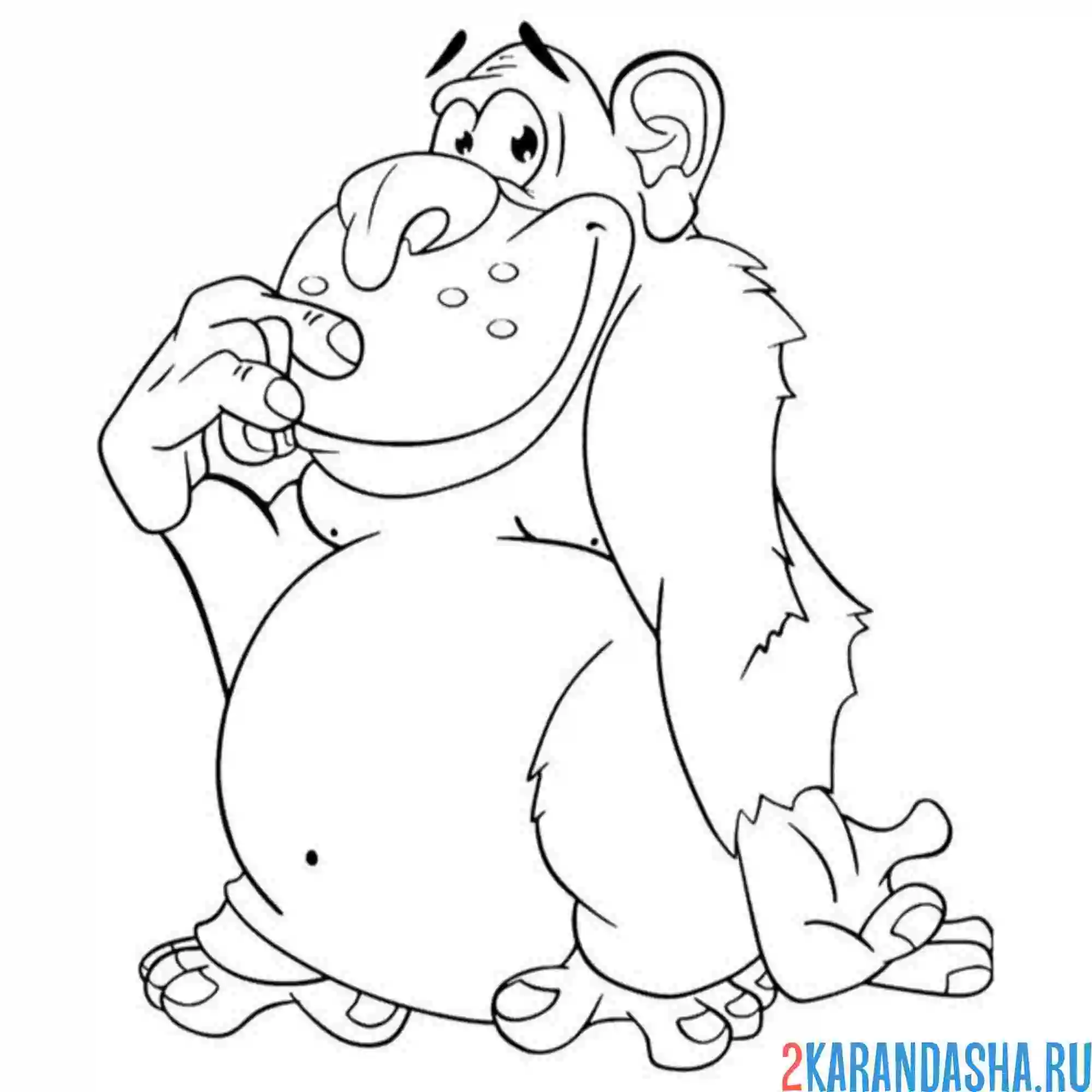 Раскраска смешная обезьяна