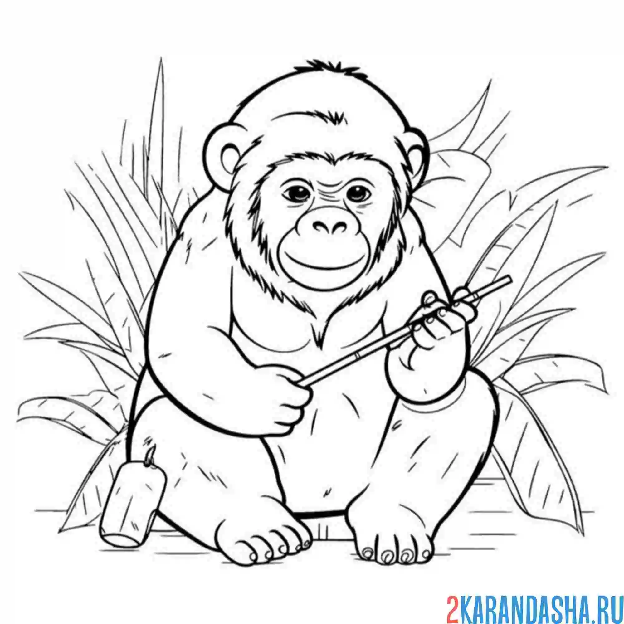 Раскраска обезьяна и палка