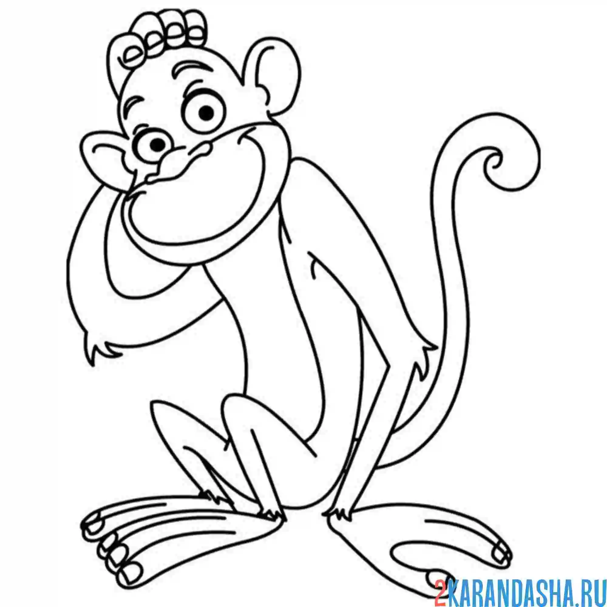 Раскраска обезьяна чешет голову