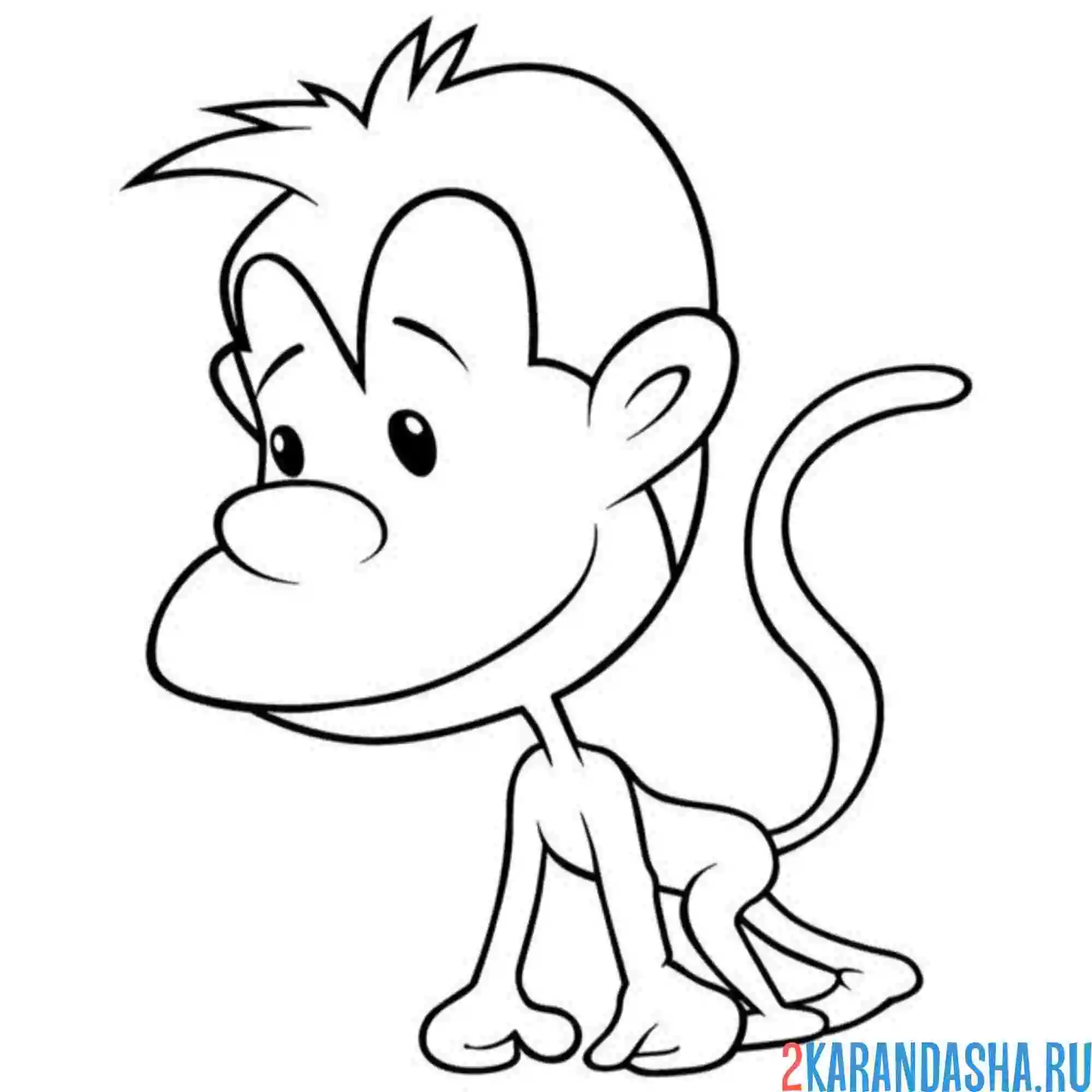 Раскраска необычная обезьянка