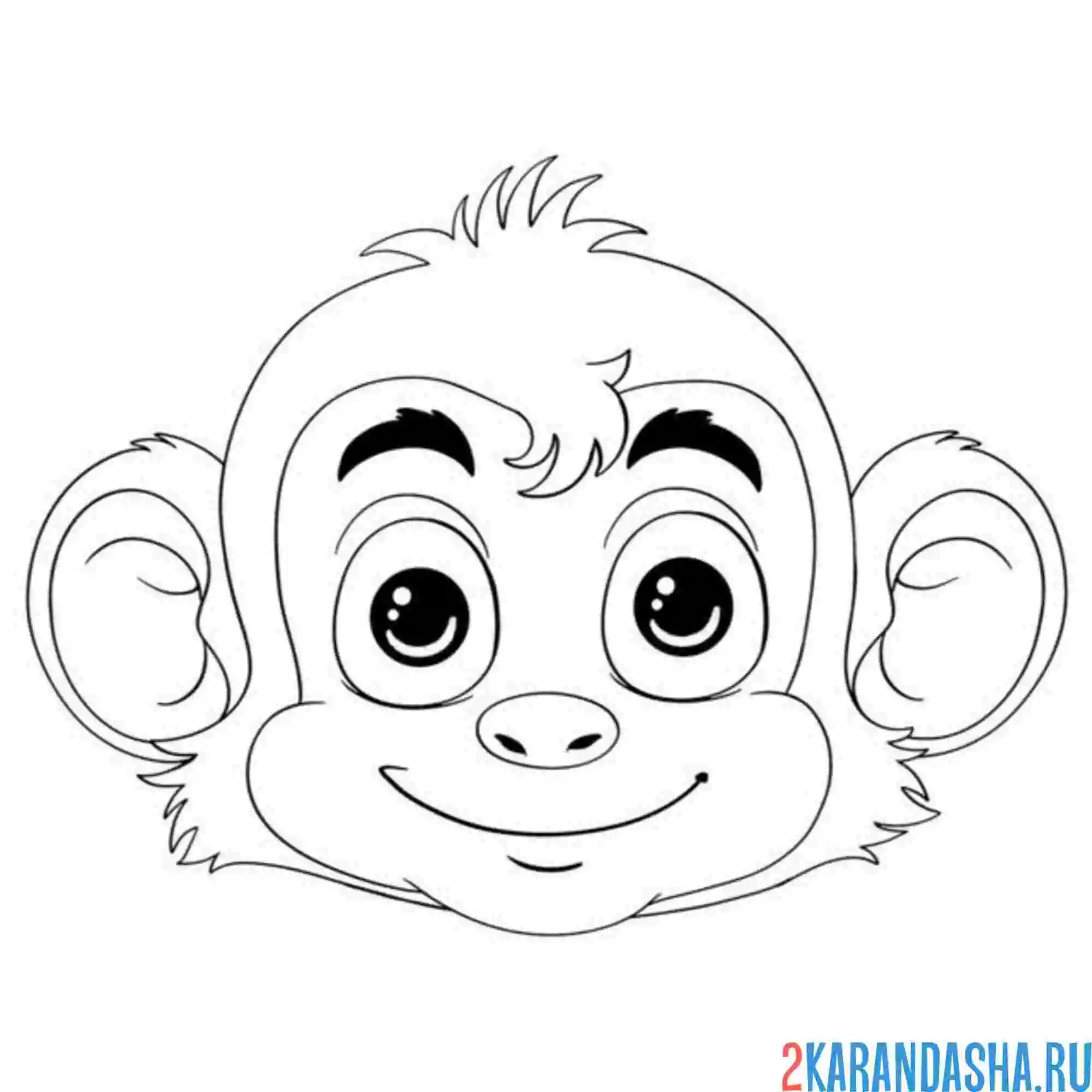 Раскраска голова обезьянки