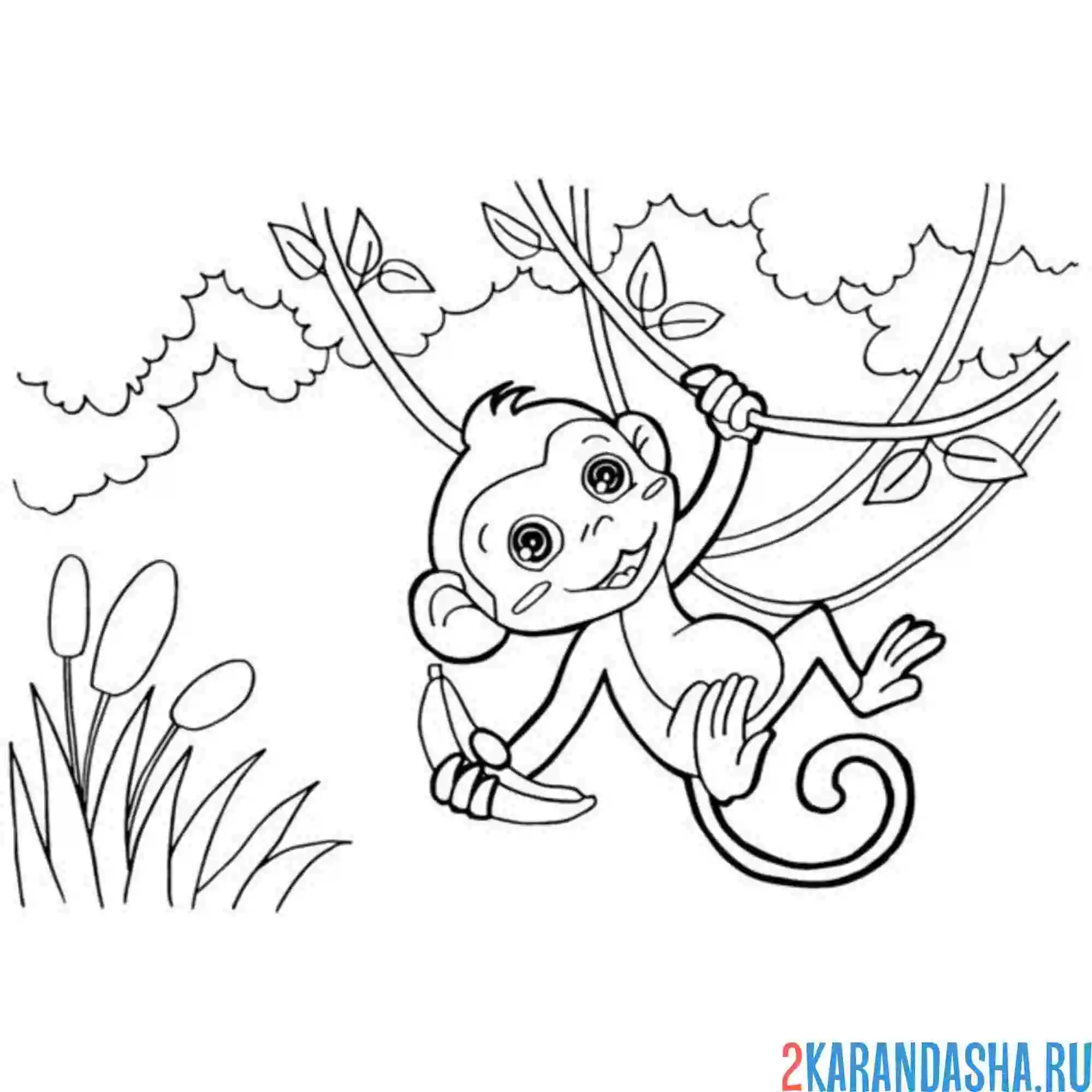 Раскраска обезьянка хулиганка на ветке