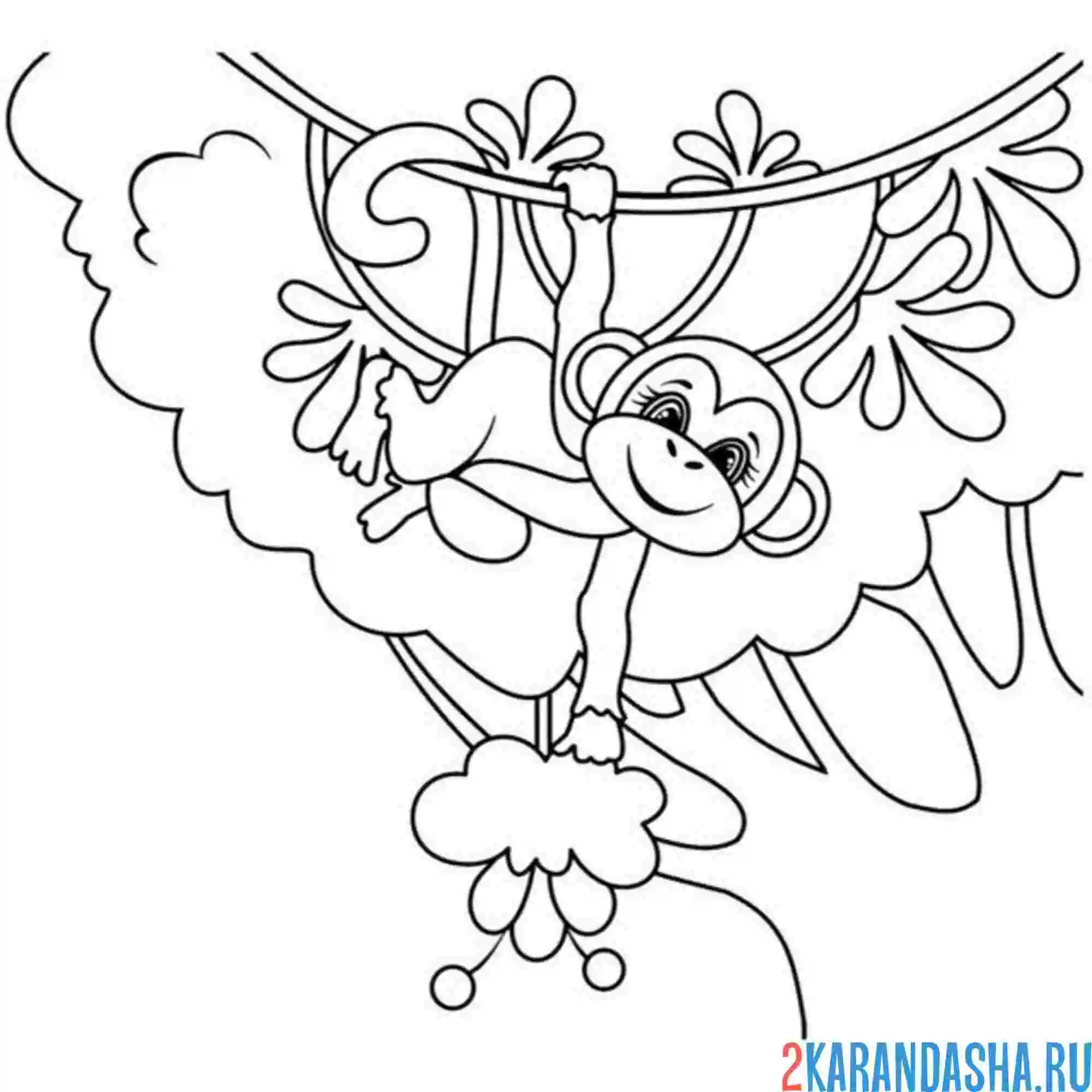 Раскраска обезьянка ловкач