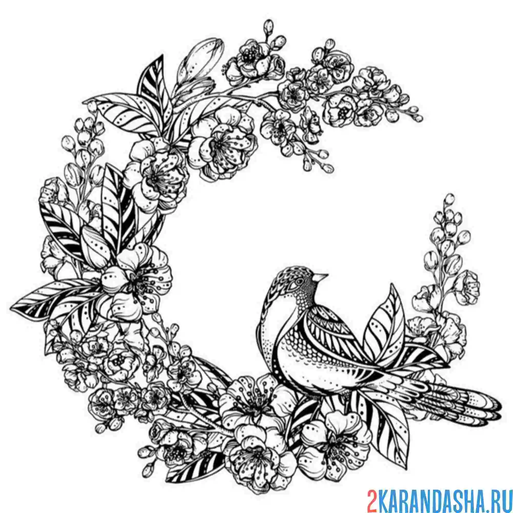 Раскраска синичка в цветах