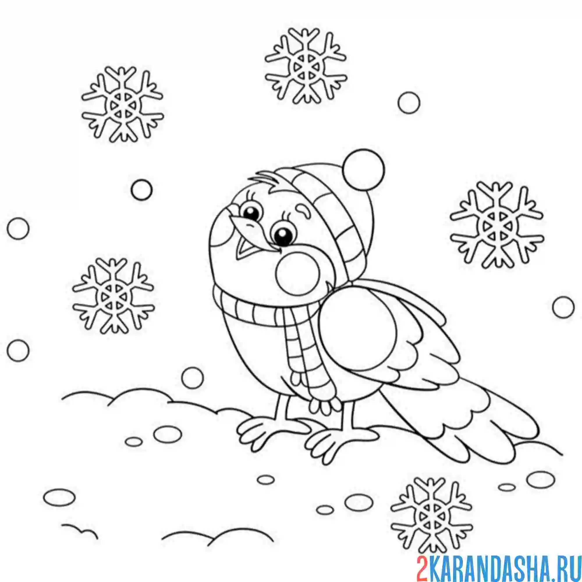 Раскраска снегирь ловит снежинки