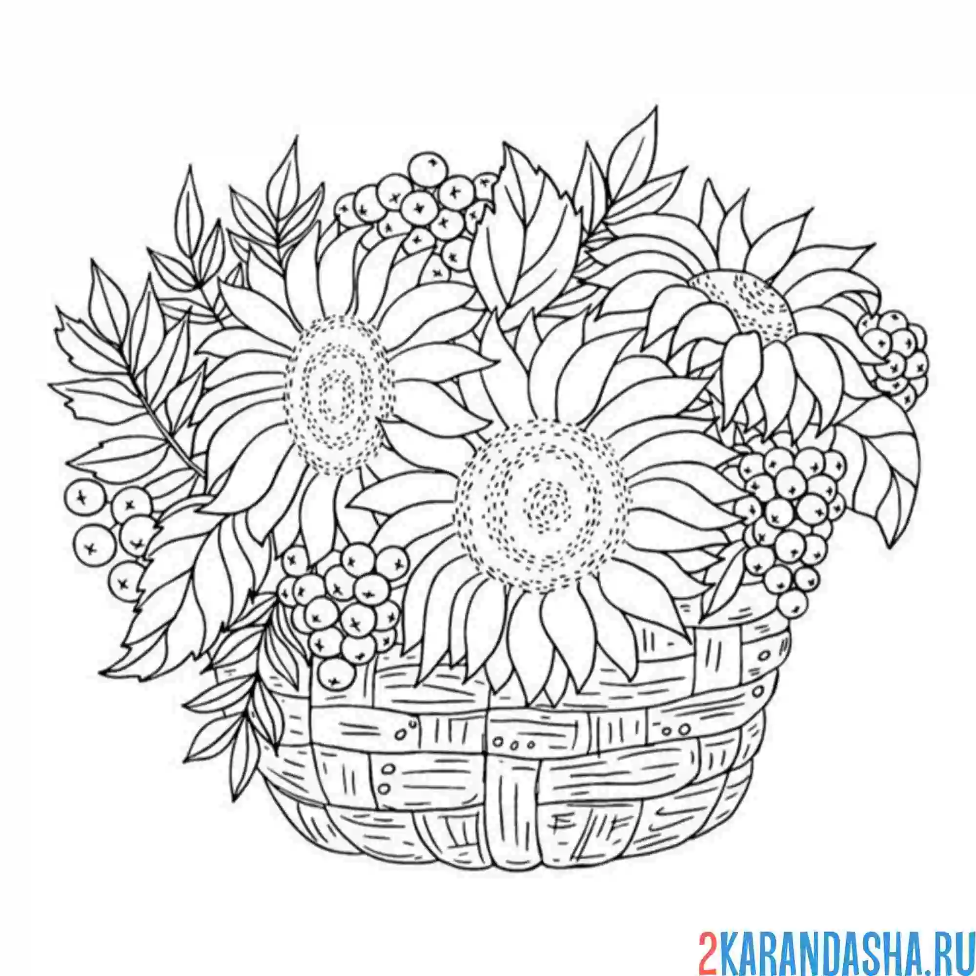 Раскраска корзинка с подсолнухами и рябиной