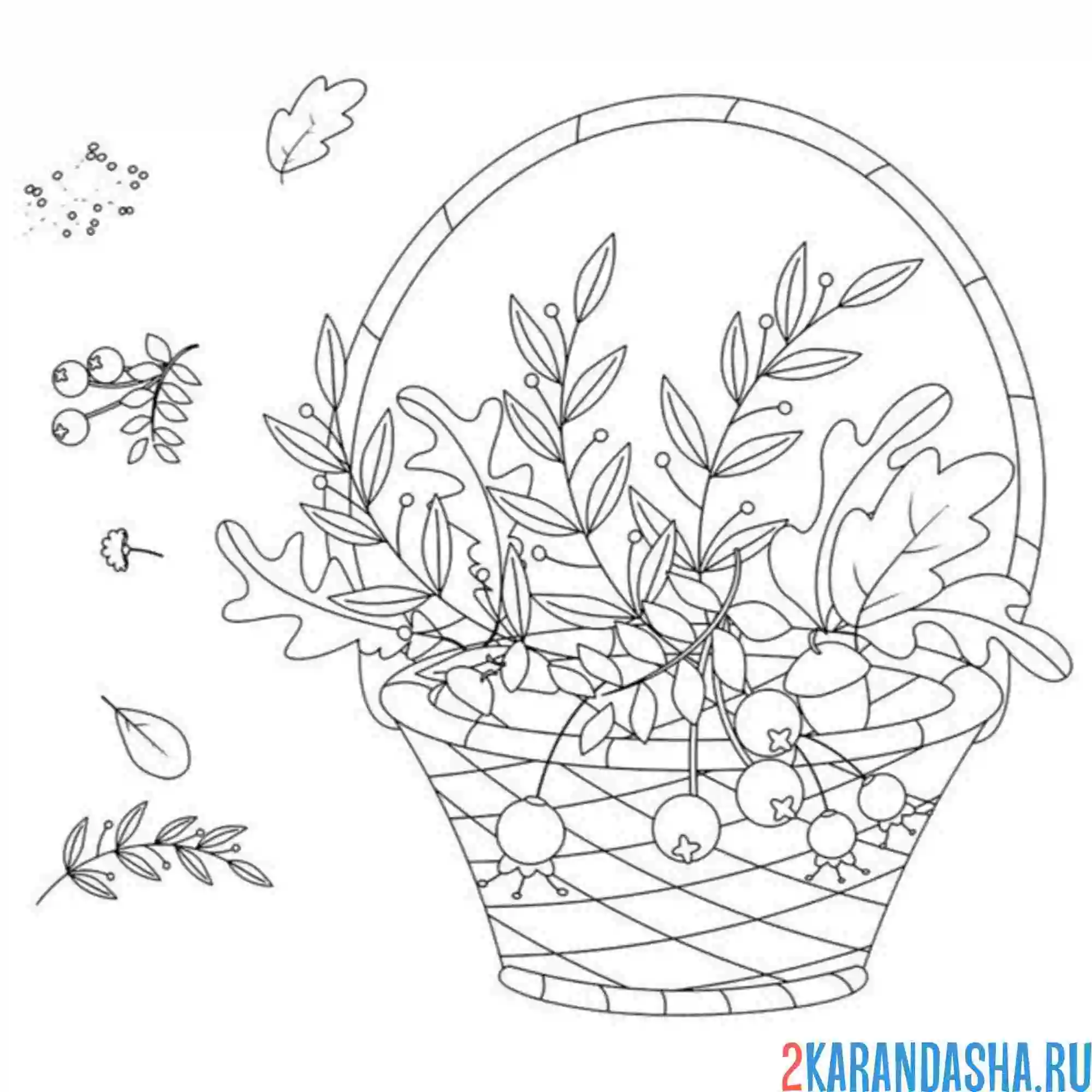 Раскраска корзинка с осенним букетом