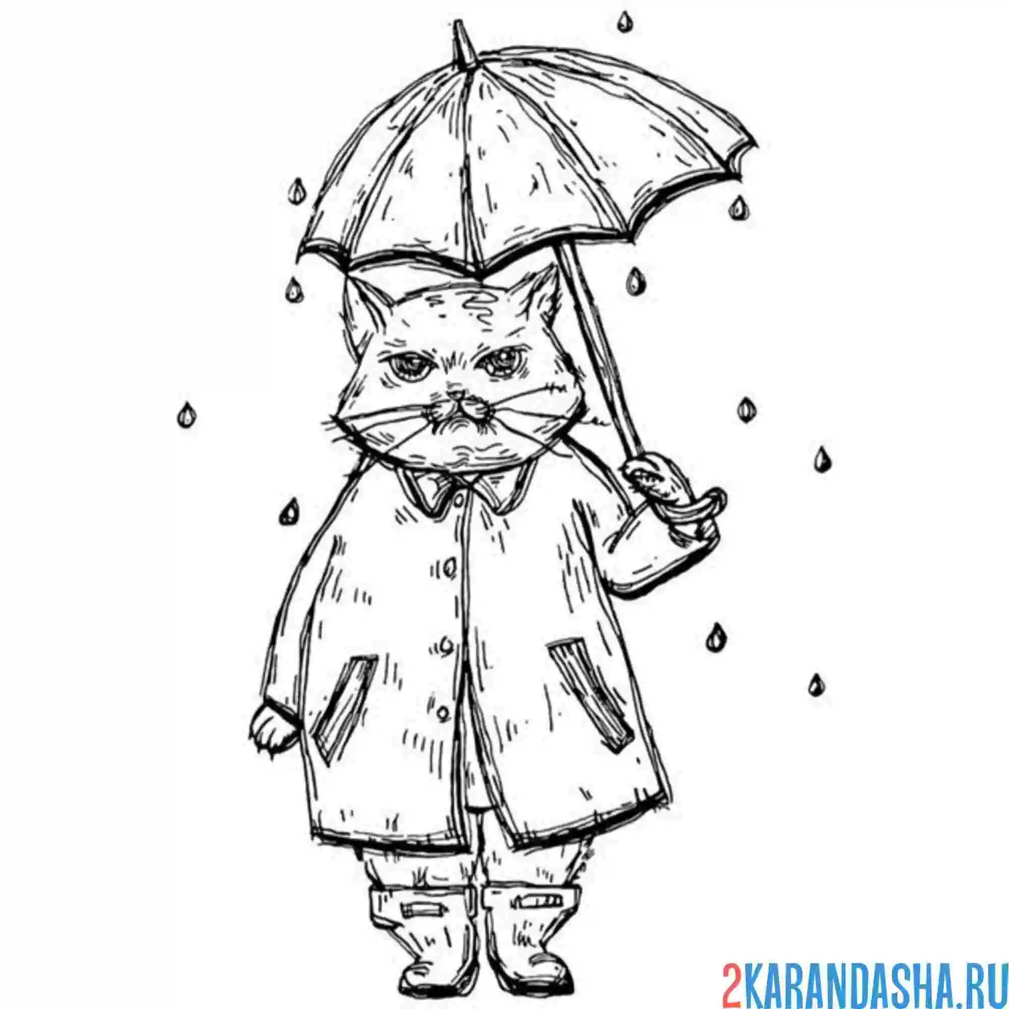 Раскраска кот в дождь под зонтом