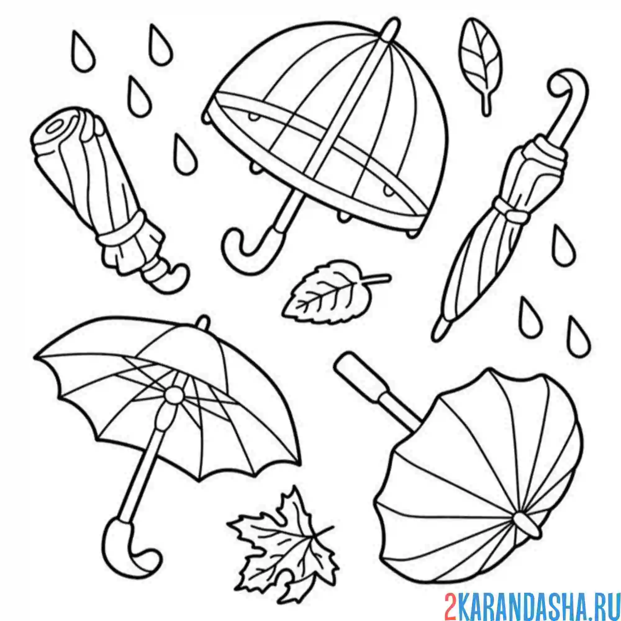 Раскраска много зонтов