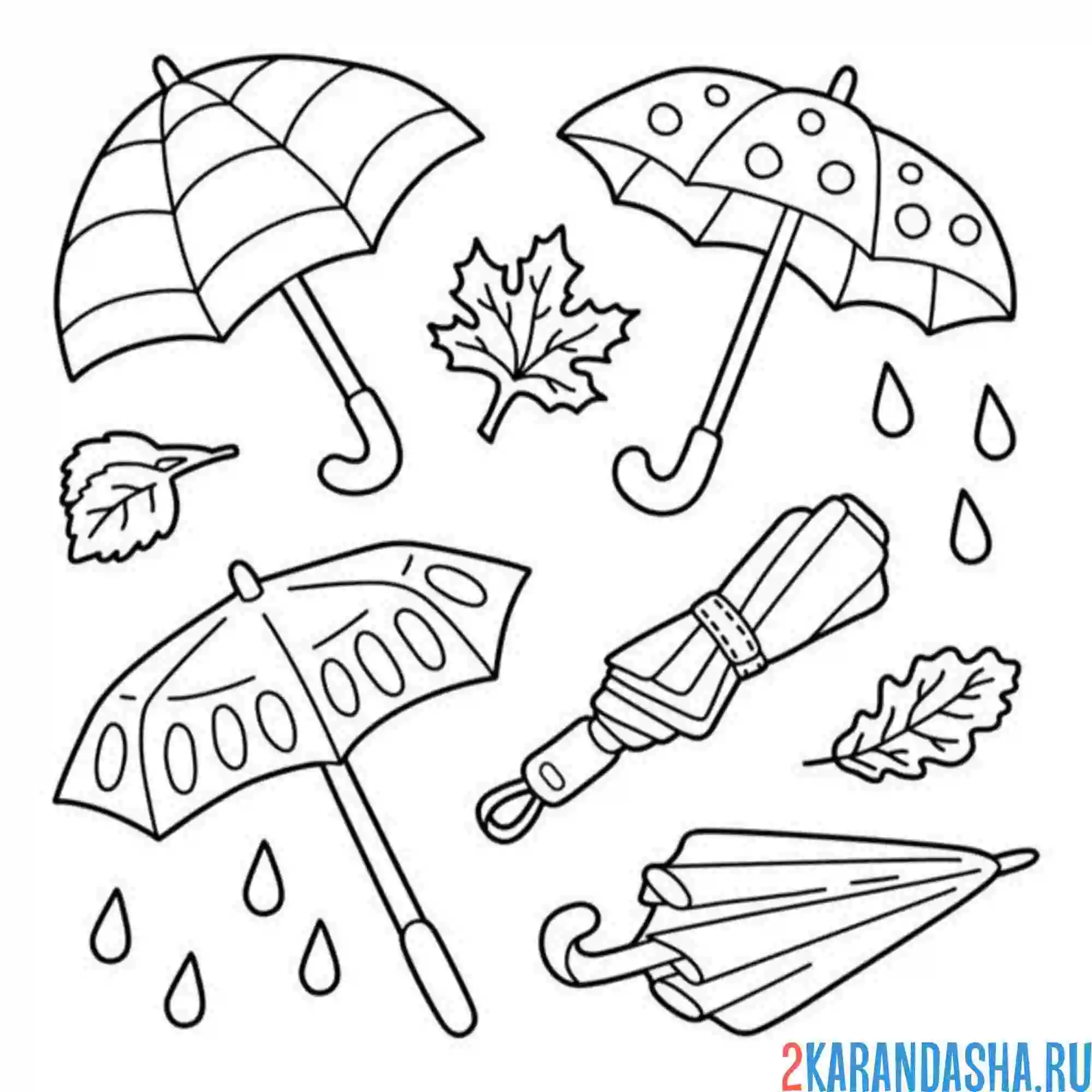 Раскраска осень зонт