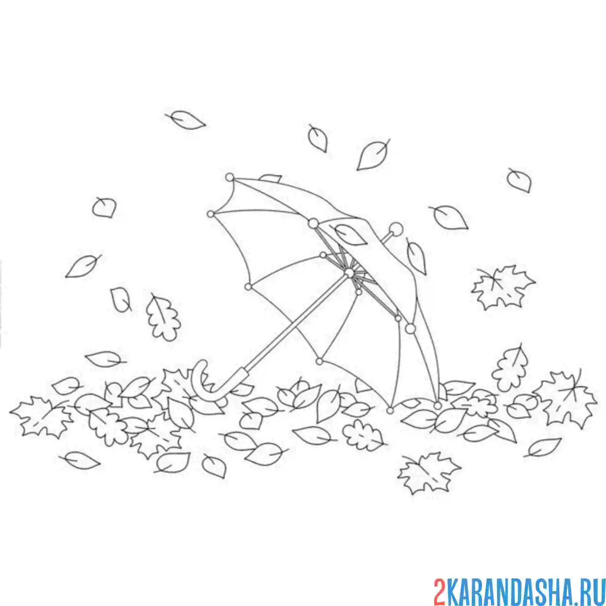 Раскраска листва под зонтом